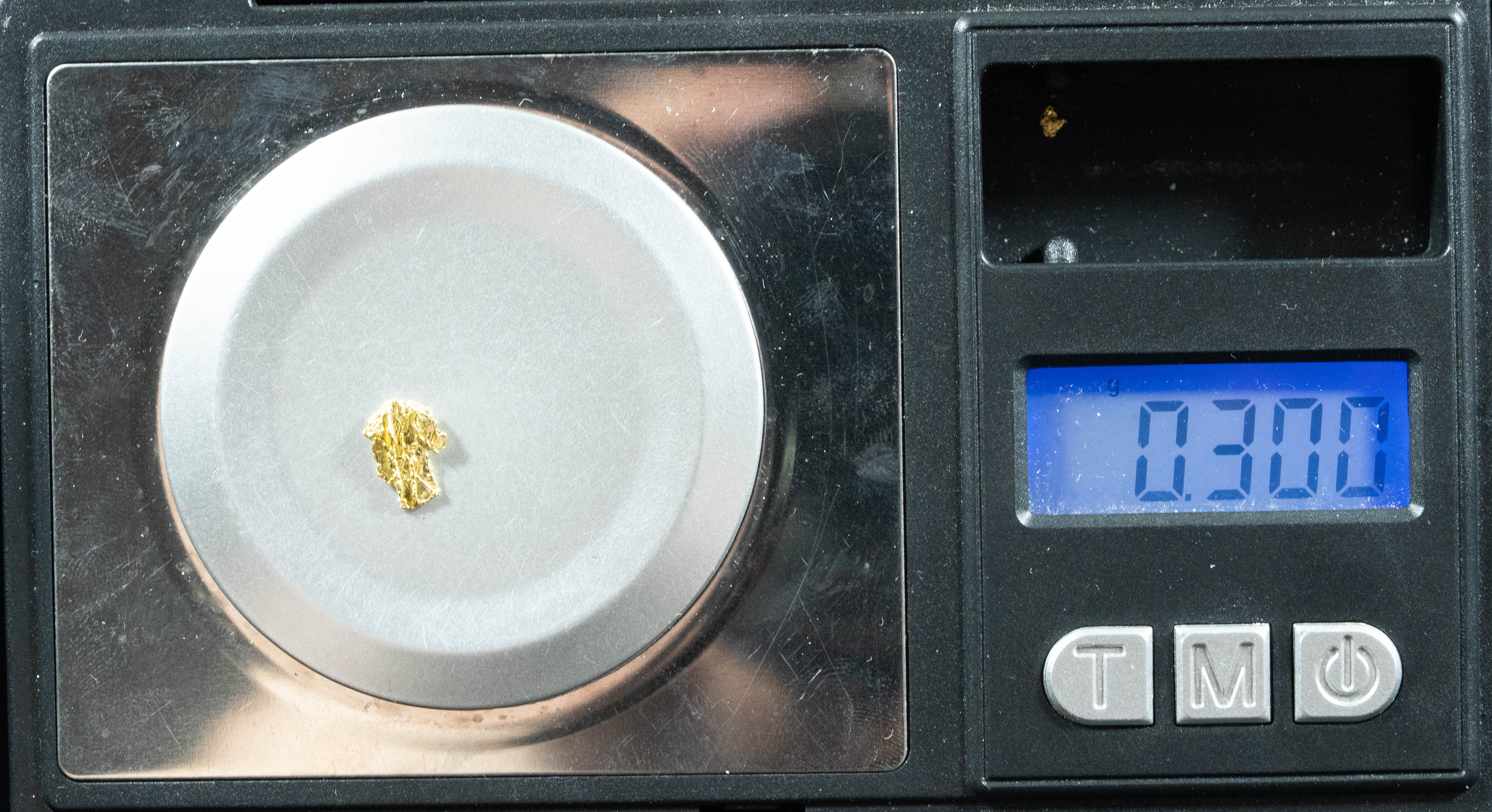 #131 Alaskan BC Natural Gold Nugget .30 Grams Genuine
