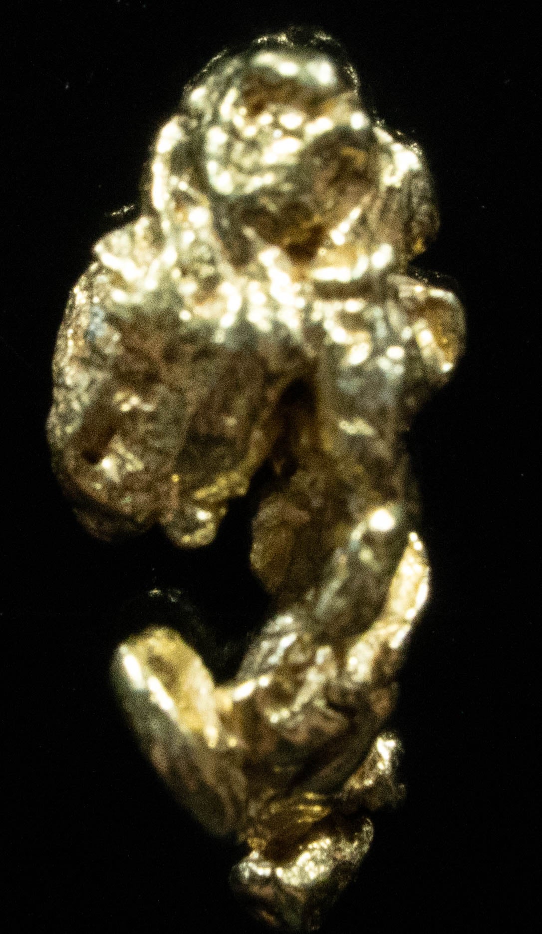 #132 Alaskan BC Natural Gold Nugget .77 Grams Genuine