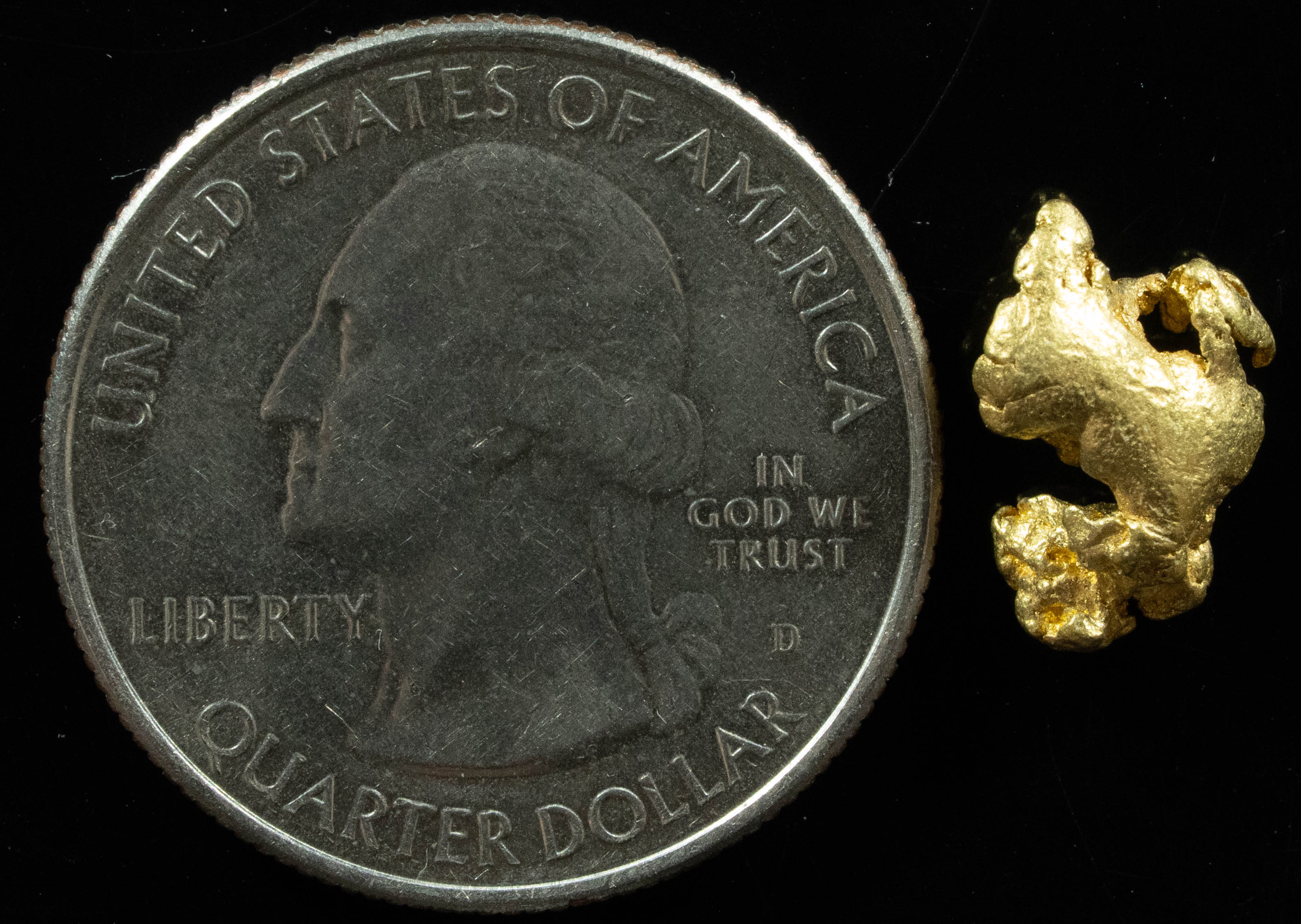 QN-1 "Alaskan BC Gold Nuggets with Quartz" Genuine 1.72 Grams
