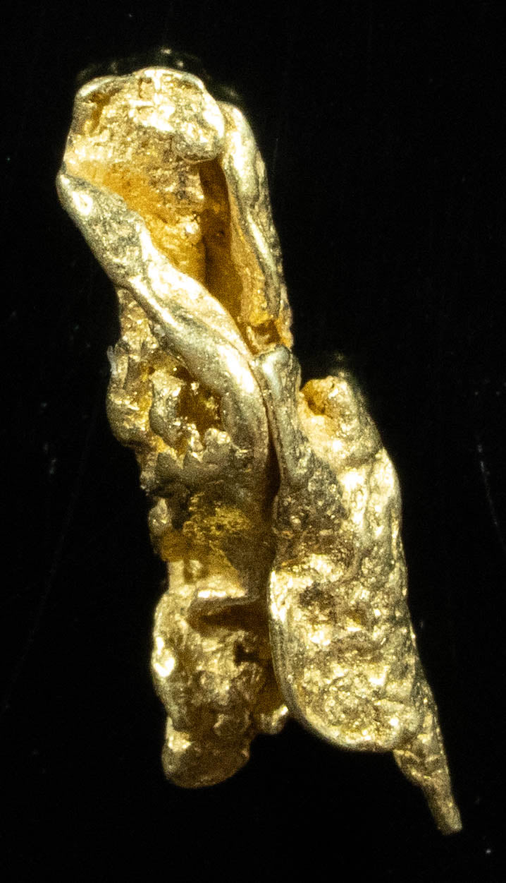 QN-11 "Alaskan BC Gold Nuggets with Quartz" Genuine .42 Grams
