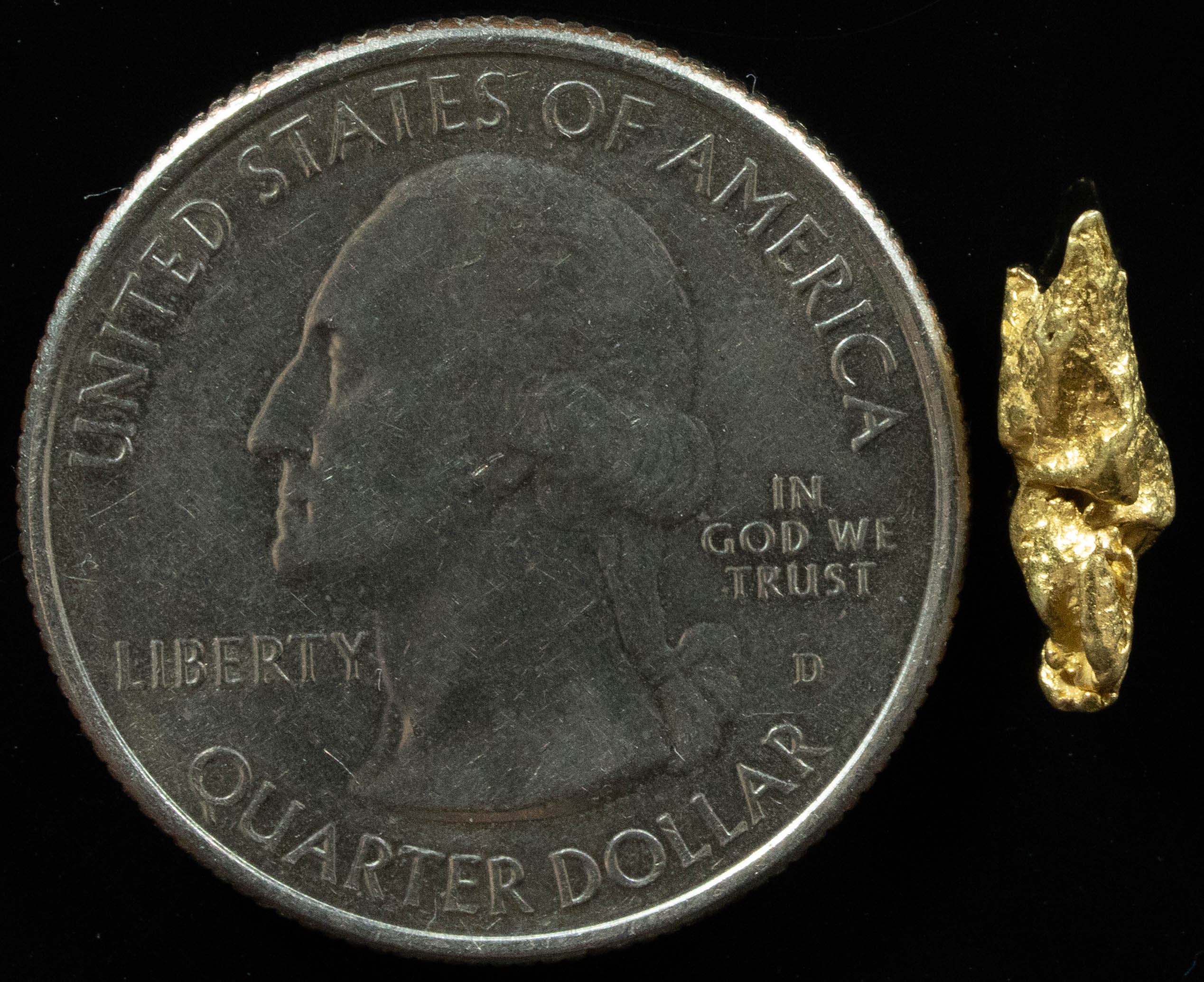 QN-11 "Alaskan BC Gold Nuggets with Quartz" Genuine .42 Grams