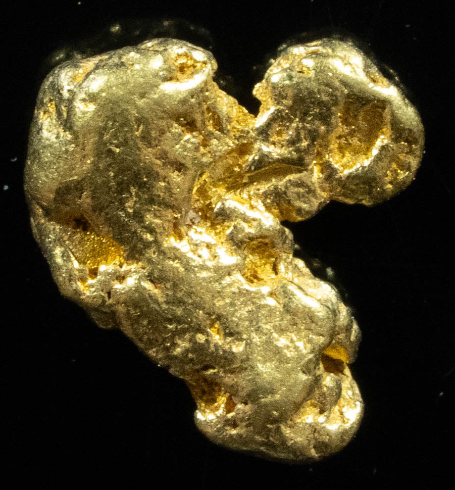 QN-15 "Alaskan BC Gold Nuggets with Quartz" Genuine 1.54 Grams