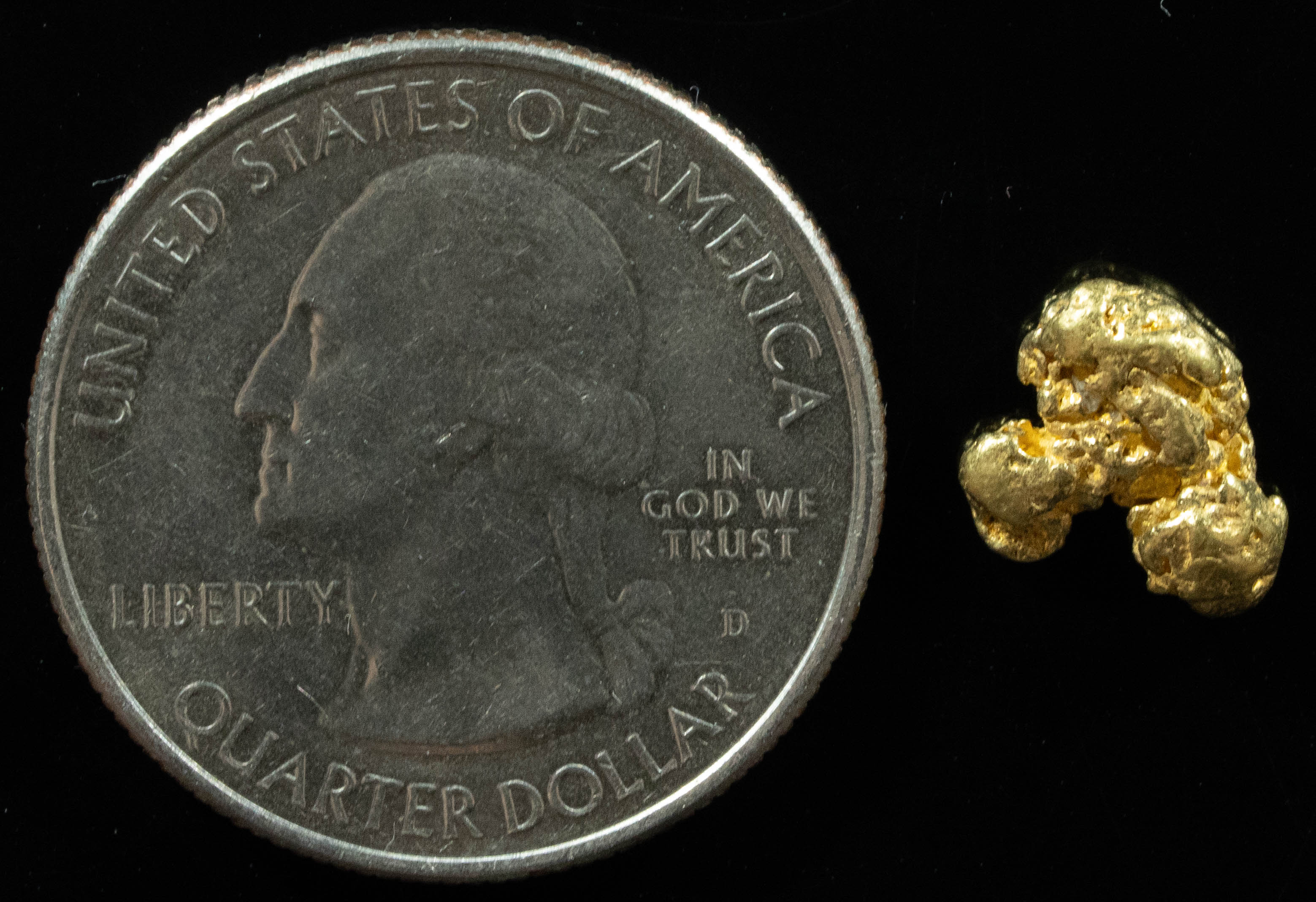 QN-15 "Alaskan BC Gold Nuggets with Quartz" Genuine 1.54 Grams