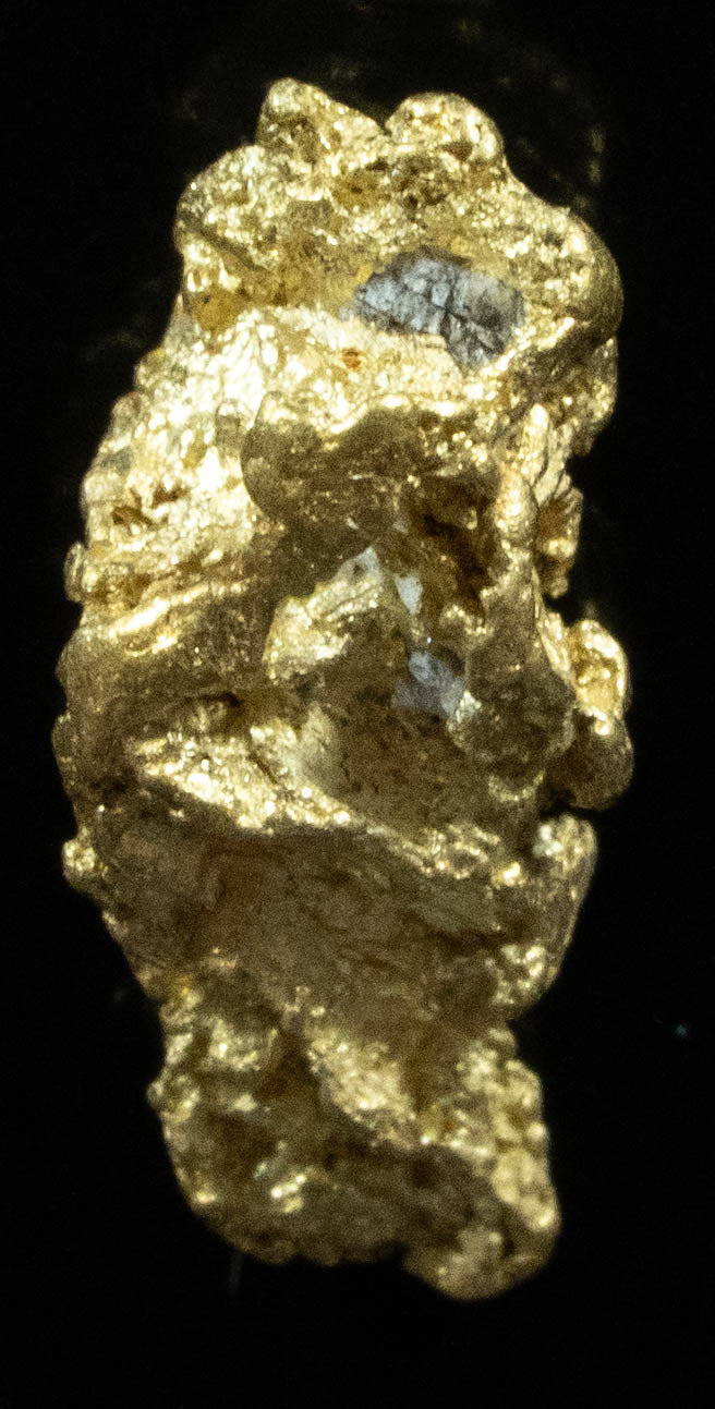 QN-24 "Alaskan BC Gold Nuggets with Quartz" Genuine .97 Grams