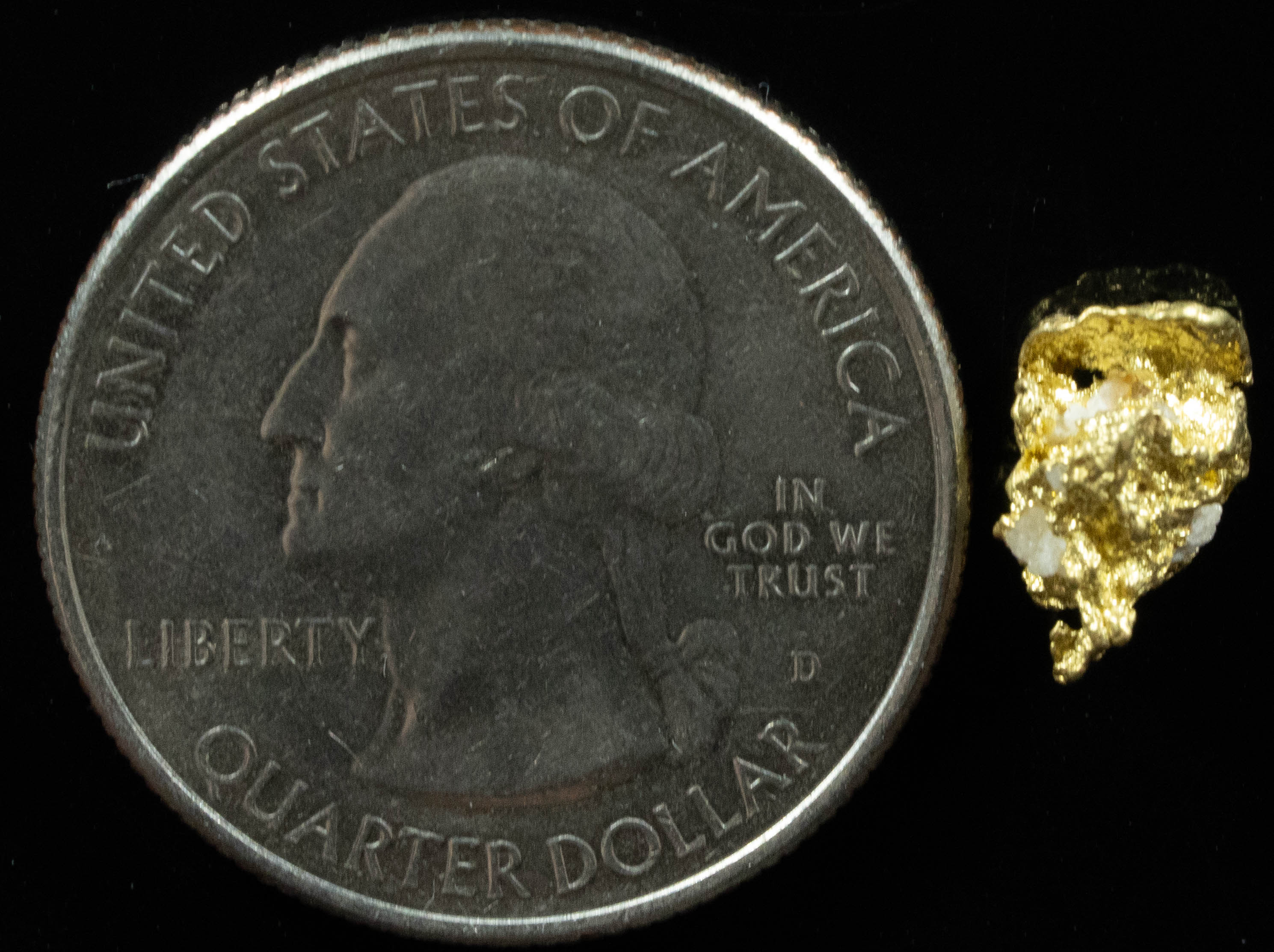 QN-25 "Alaskan BC Gold Nuggets with Quartz" Genuine .98 Grams