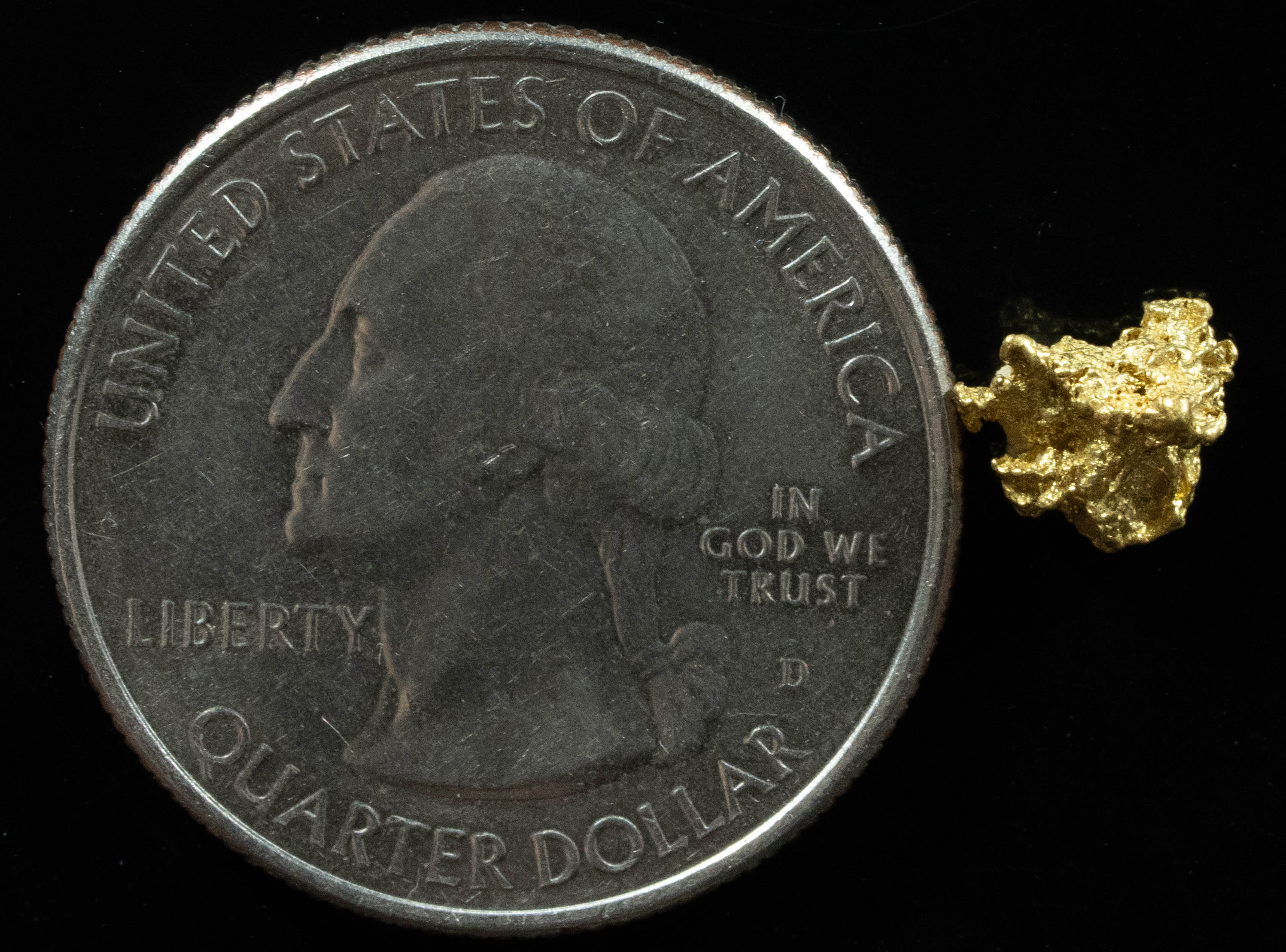 QN-30 "Alaskan BC Gold Nuggets with Quartz" Genuine .56 Grams