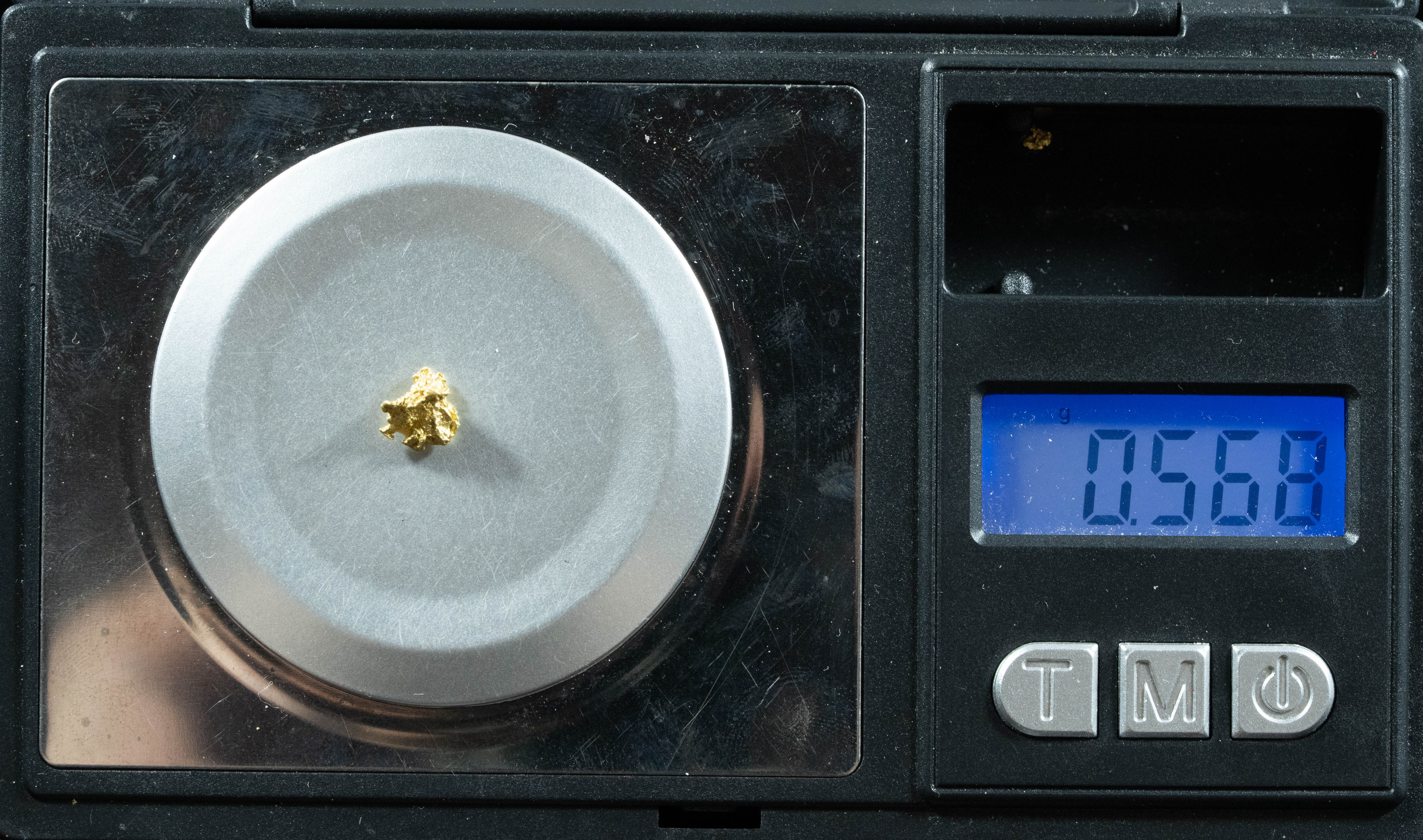 QN-30 "Alaskan BC Gold Nuggets with Quartz" Genuine .56 Grams