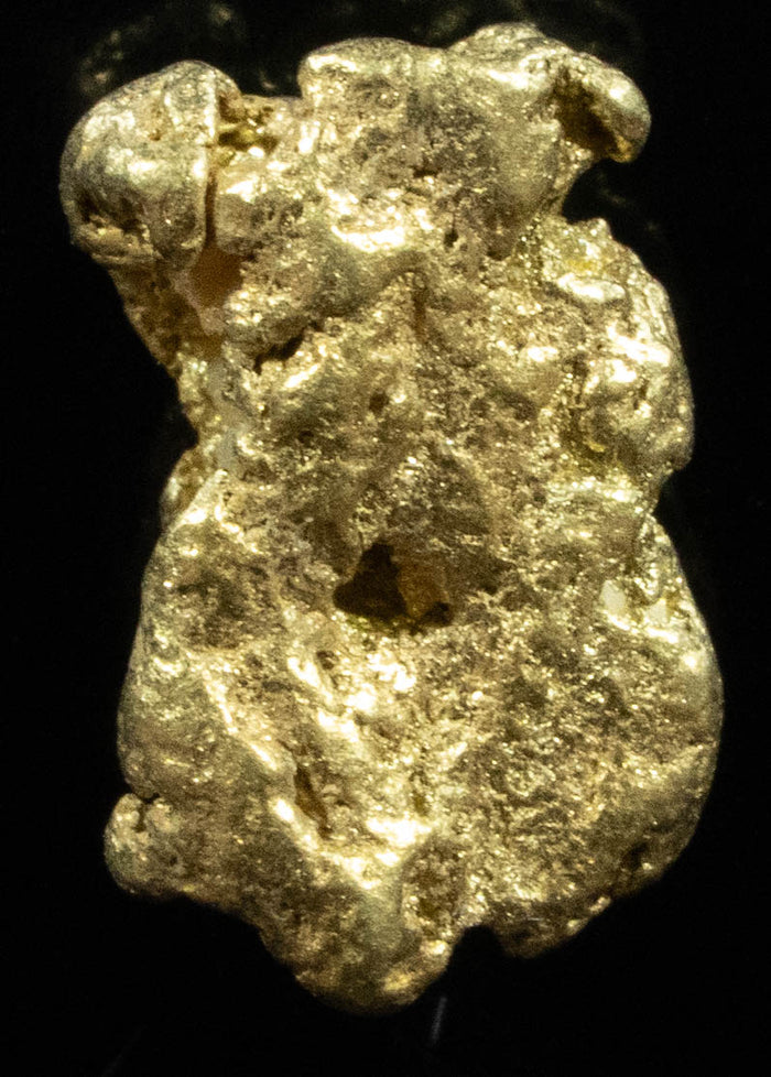 QN-32 "Alaskan BC Gold Nuggets with Quartz" Genuine 1.27 Grams