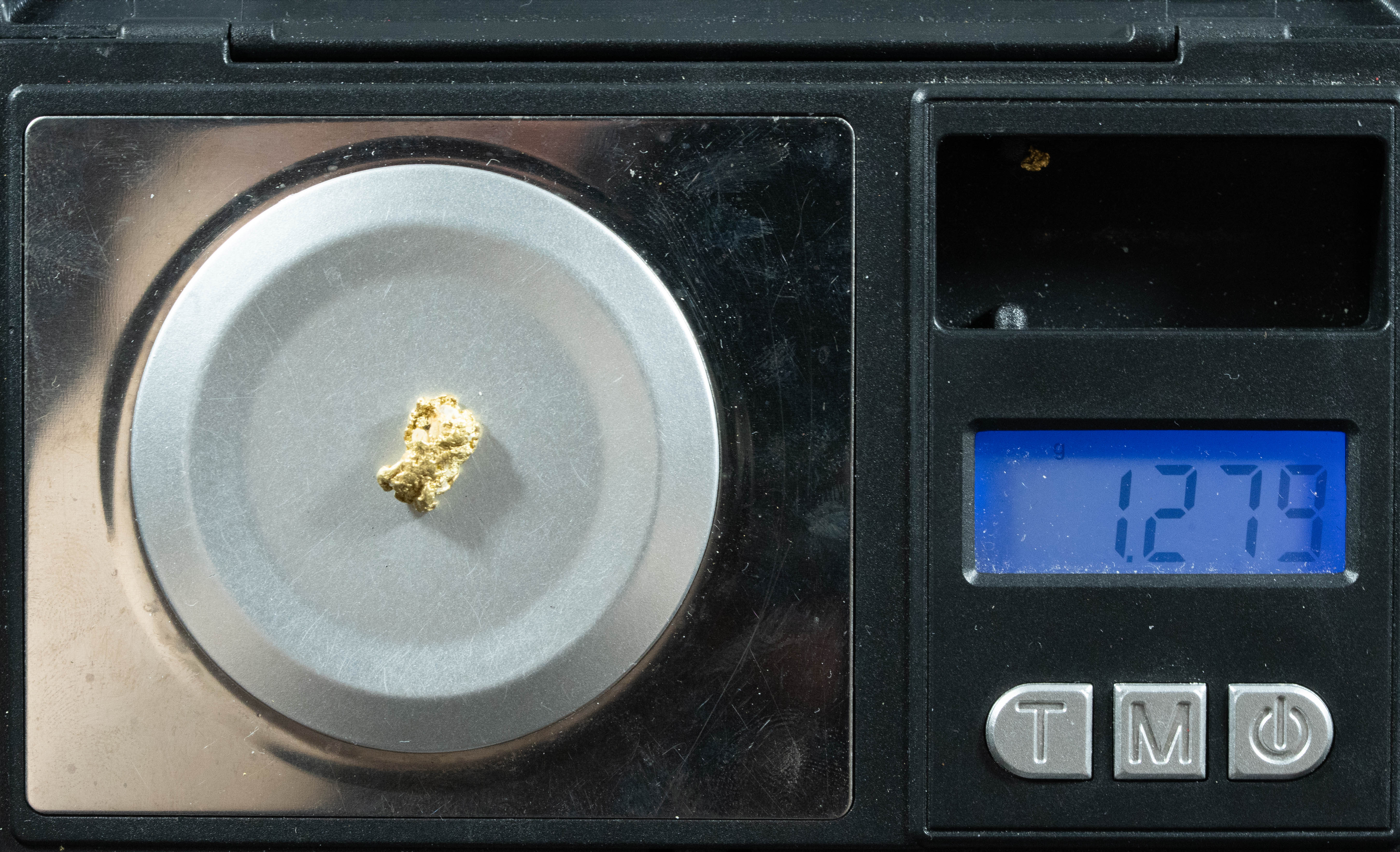 QN-32 "Alaskan BC Gold Nuggets with Quartz" Genuine 1.27 Grams