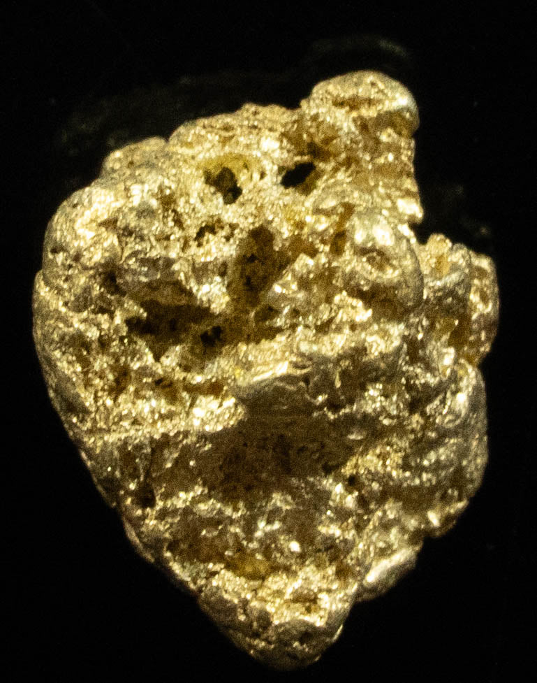 QN-33 "Alaskan BC Gold Nuggets with Quartz" Genuine .74 Grams