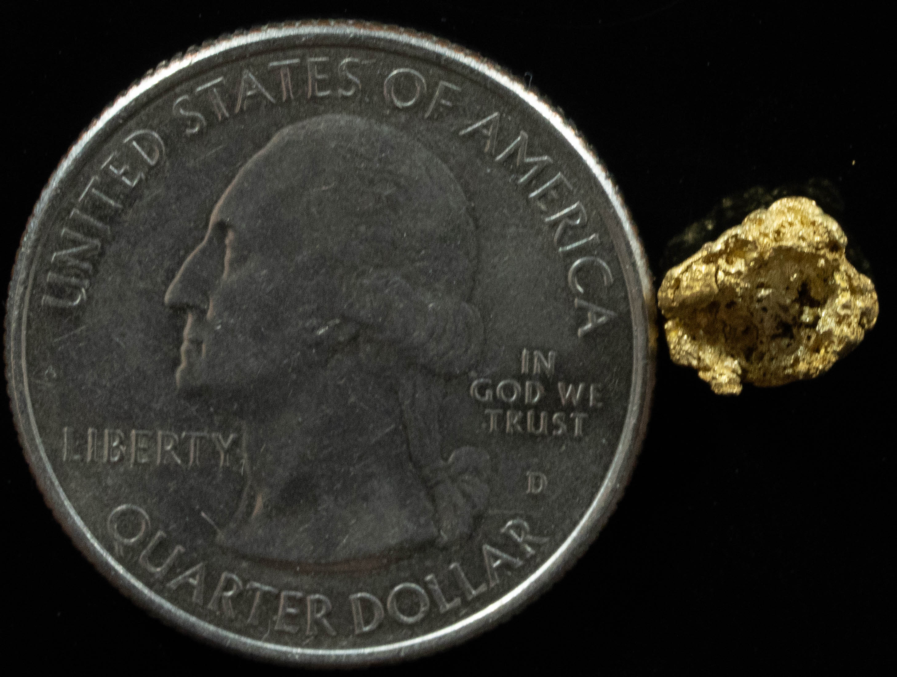 QN-33 "Alaskan BC Gold Nuggets with Quartz" Genuine .74 Grams