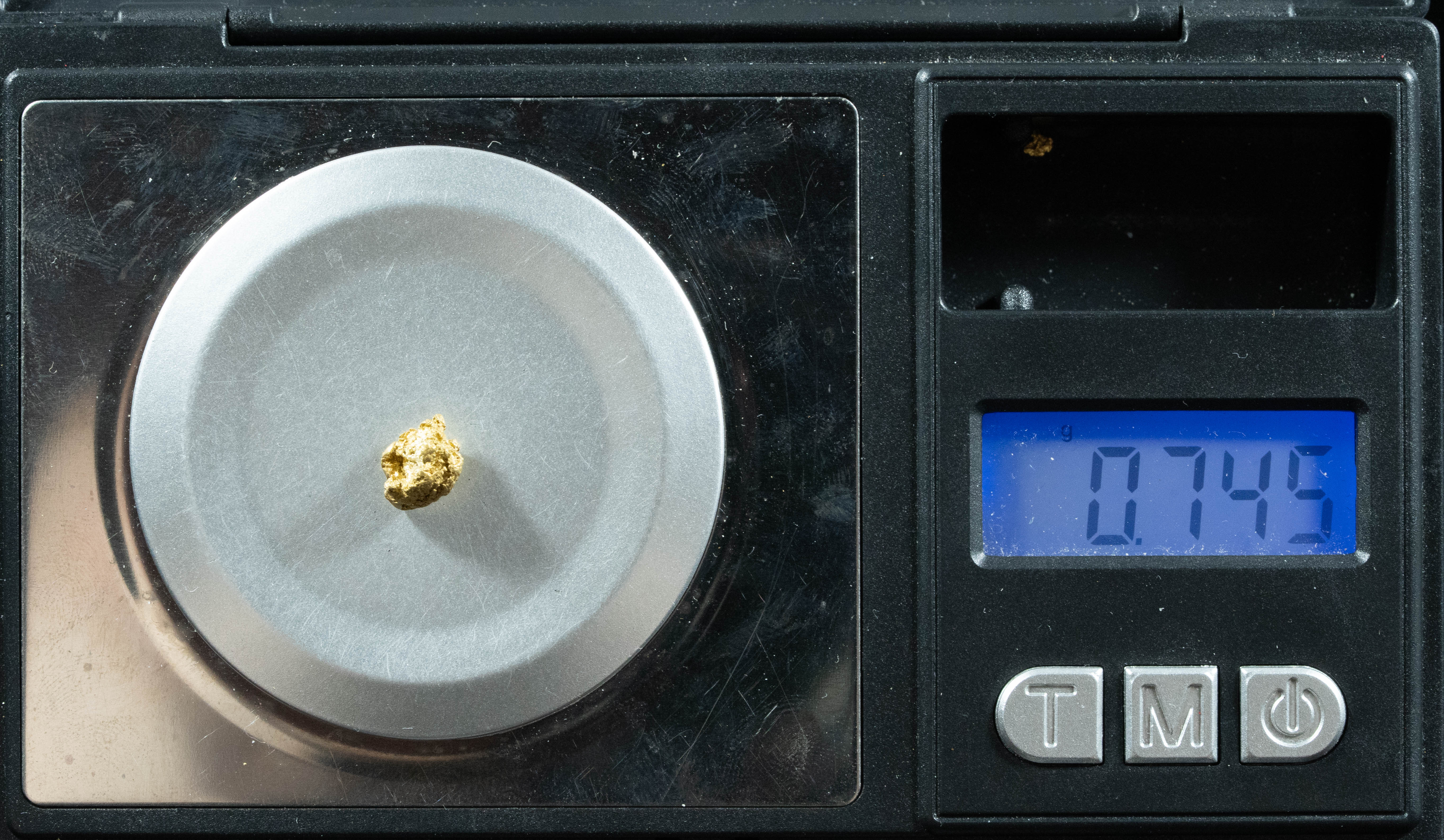 QN-33 "Alaskan BC Gold Nuggets with Quartz" Genuine .74 Grams