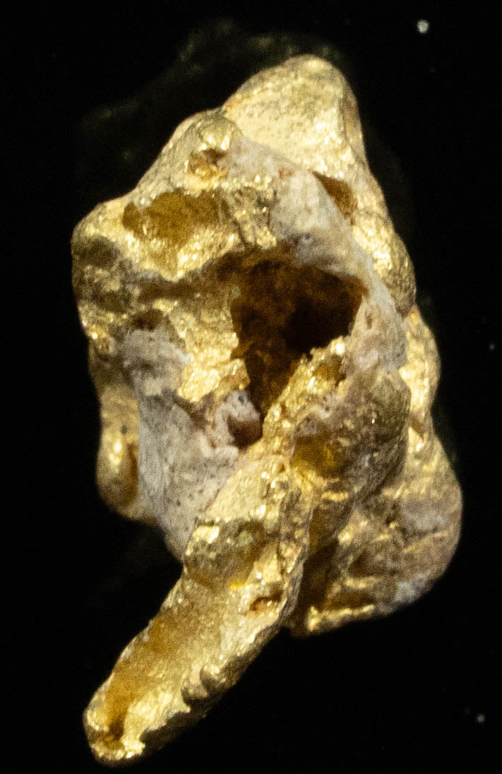 QN-34 "Alaskan BC Gold Nuggets with Quartz" Genuine .98 Grams