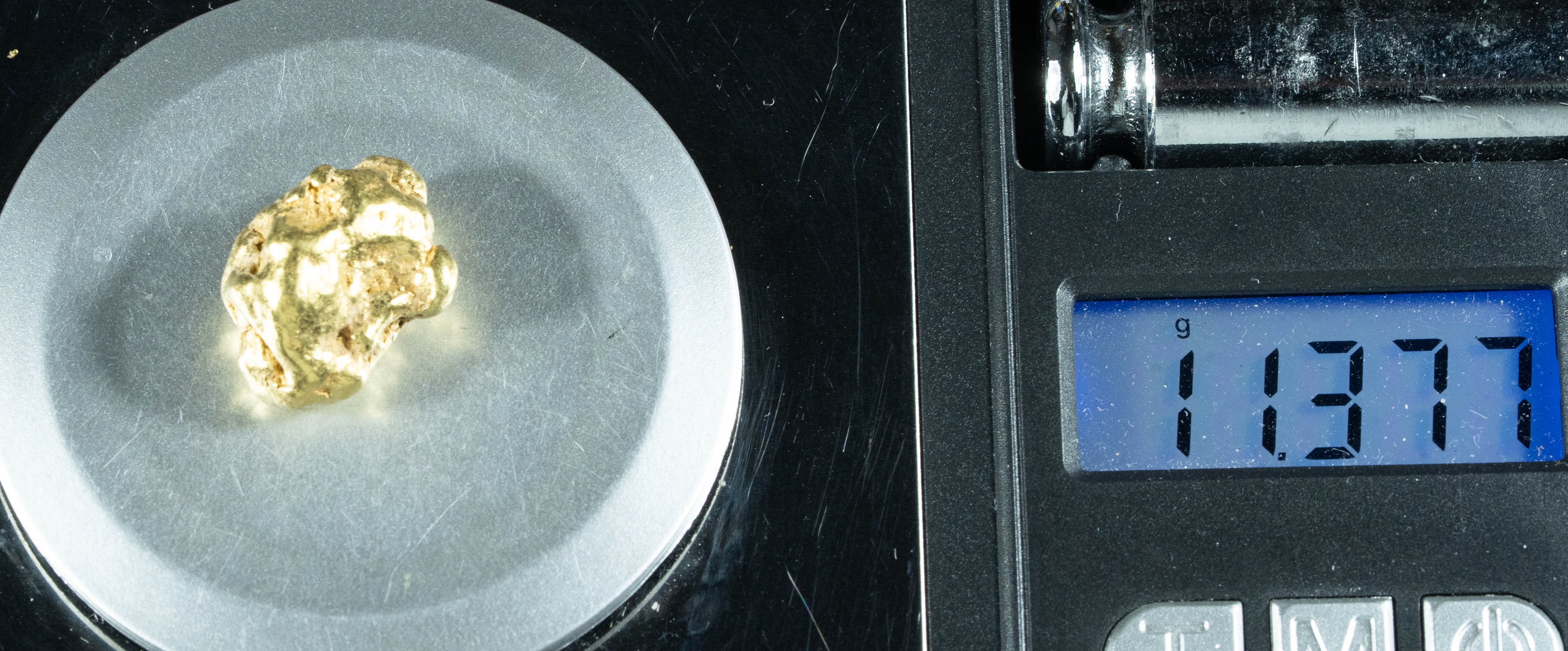 #414 Alaskan BC Natural Gold Nugget 11.37 Grams Genuine