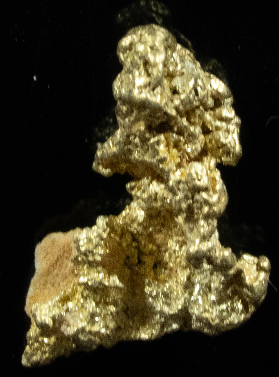 QN-51 "Alaskan BC Gold Nuggets with Quartz" Genuine .65 Grams