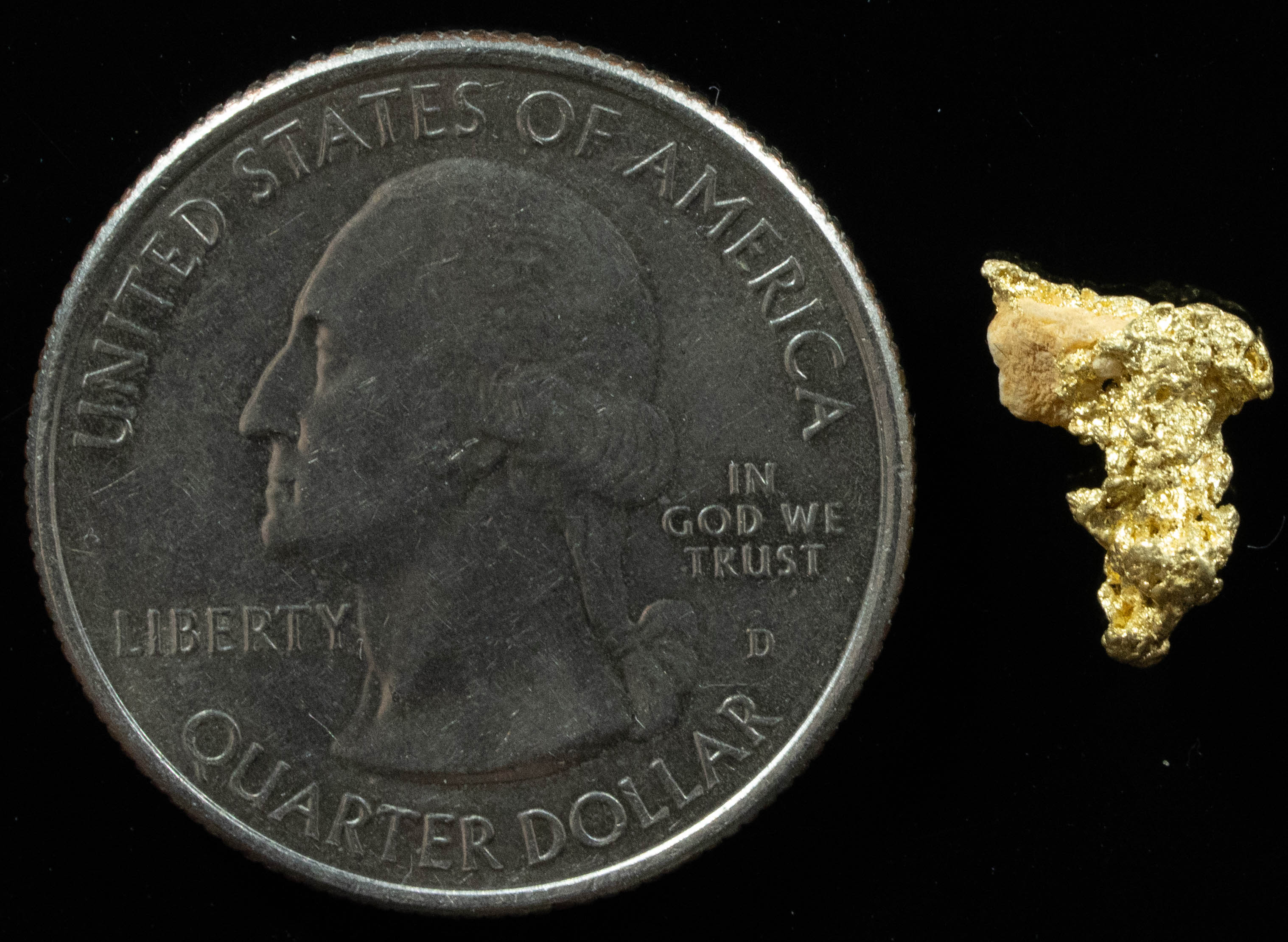 QN-51 "Alaskan BC Gold Nuggets with Quartz" Genuine .65 Grams