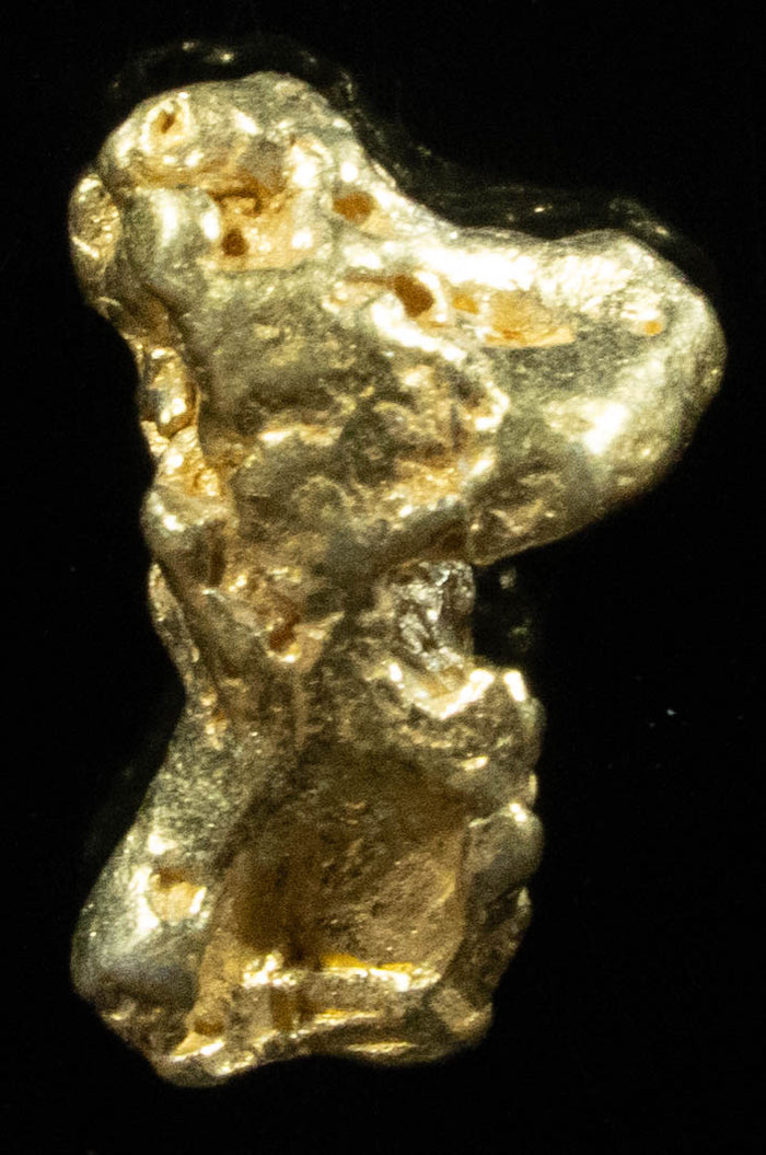 QN-53 "Alaskan BC Gold Nuggets with Quartz" Genuine 1.00 Grams