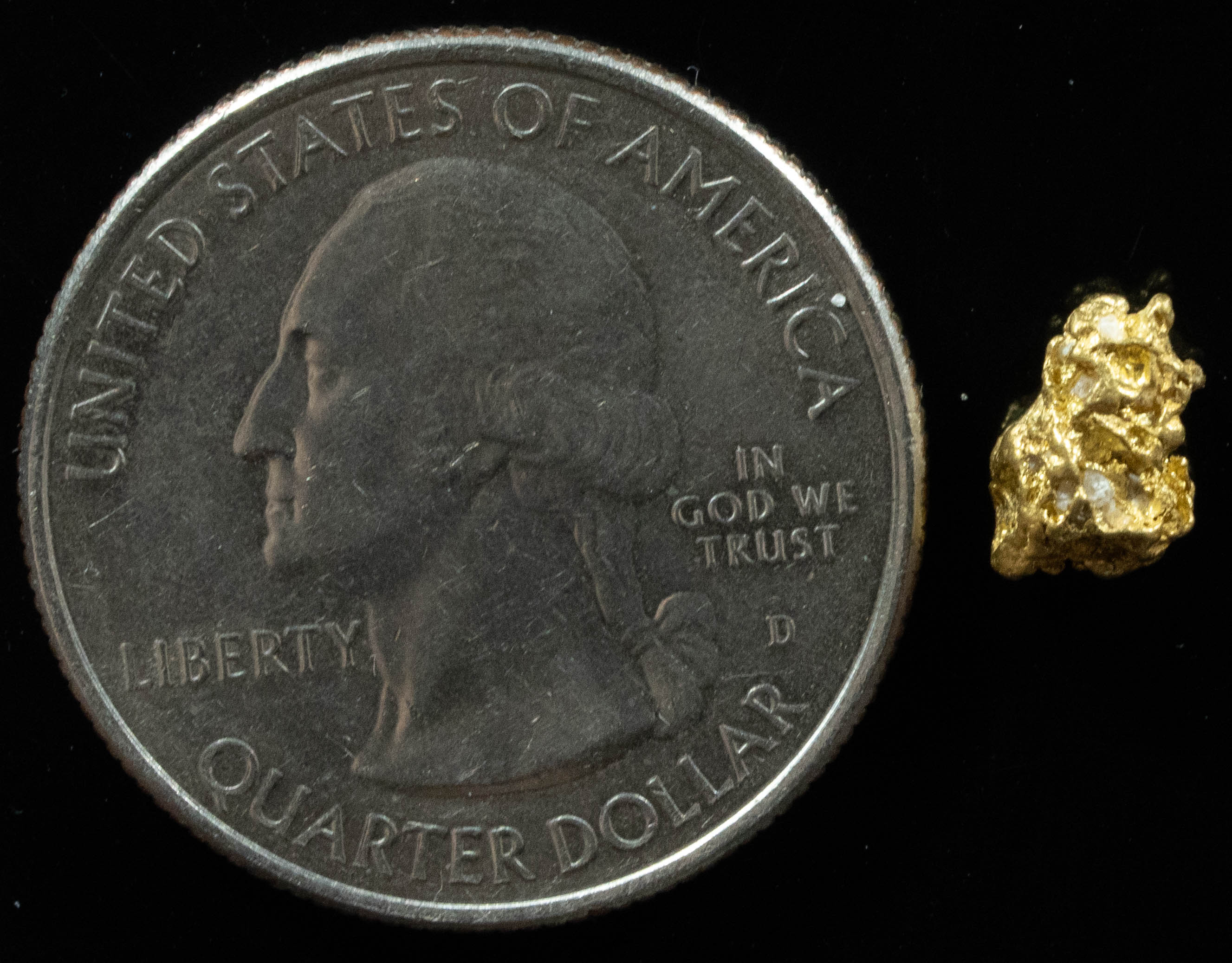 QN-54 "Alaskan BC Gold Nuggets with Quartz" Genuine .83 Grams