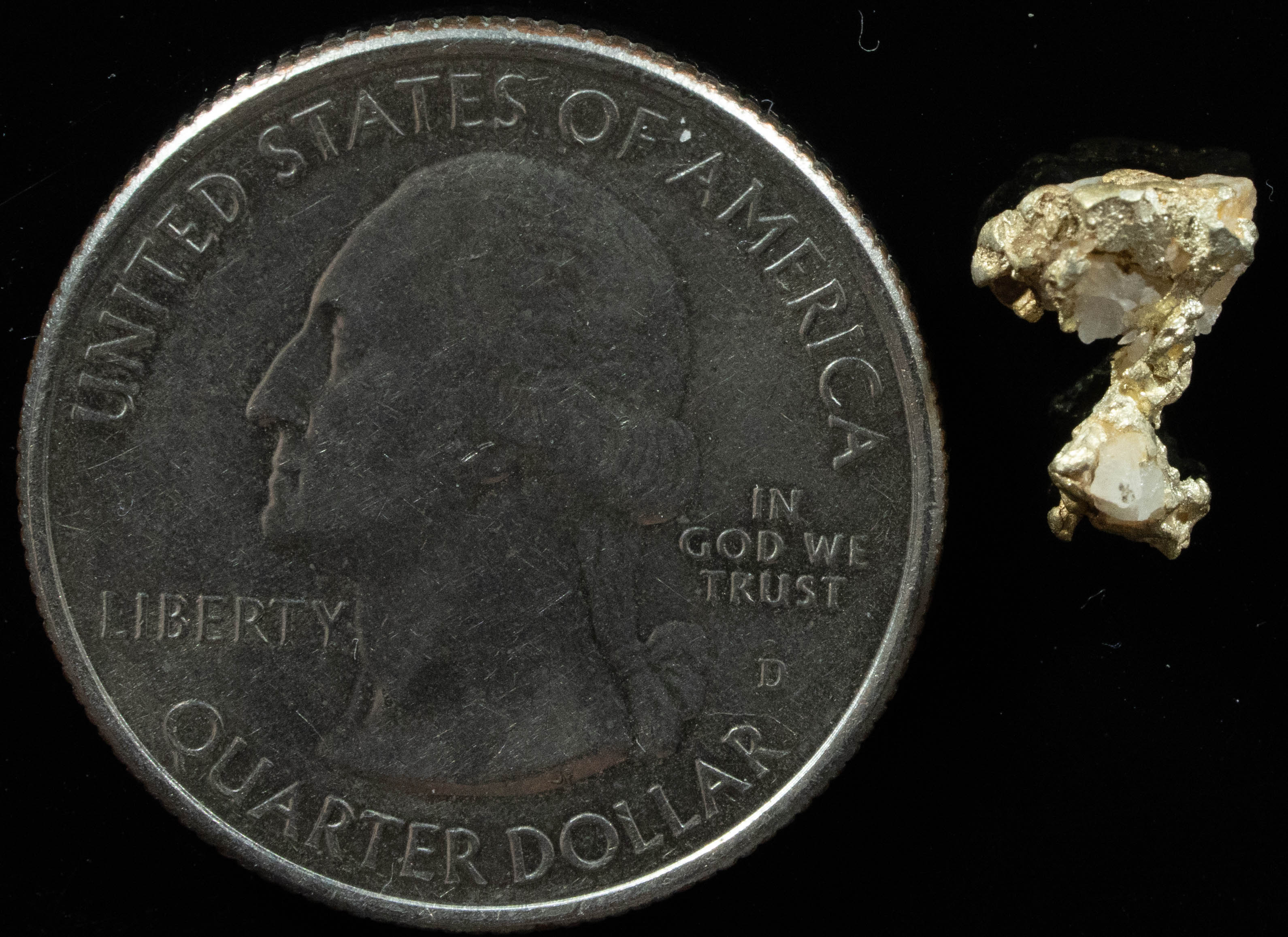 QN-55 "Alaskan BC Gold Nuggets with Quartz" Genuine .71 Grams