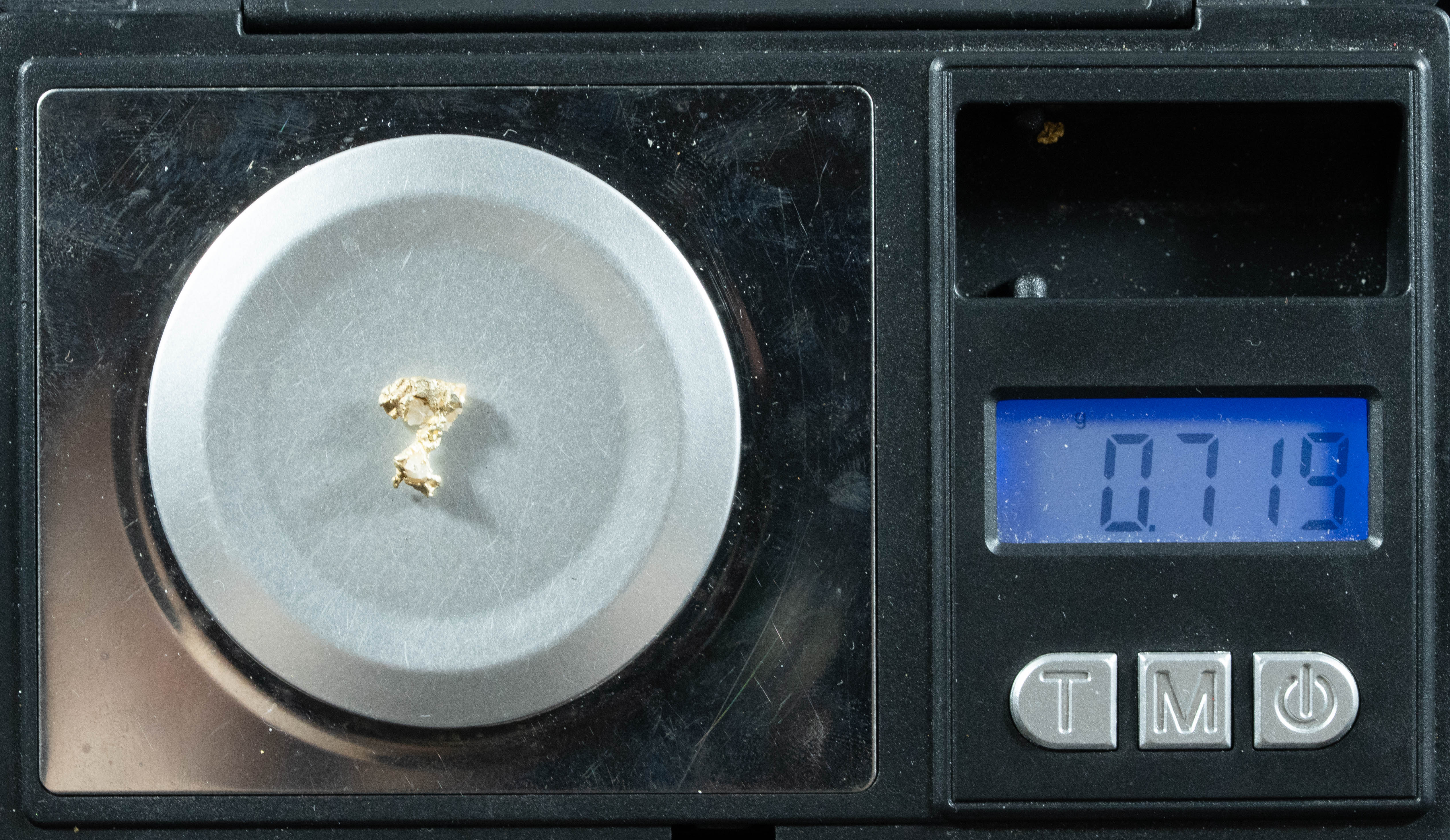 QN-55 "Alaskan BC Gold Nuggets with Quartz" Genuine .71 Grams