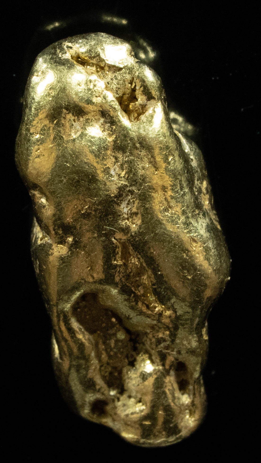 #366 Alaskan BC Natural Gold Nugget 5.61 Grams Genuine