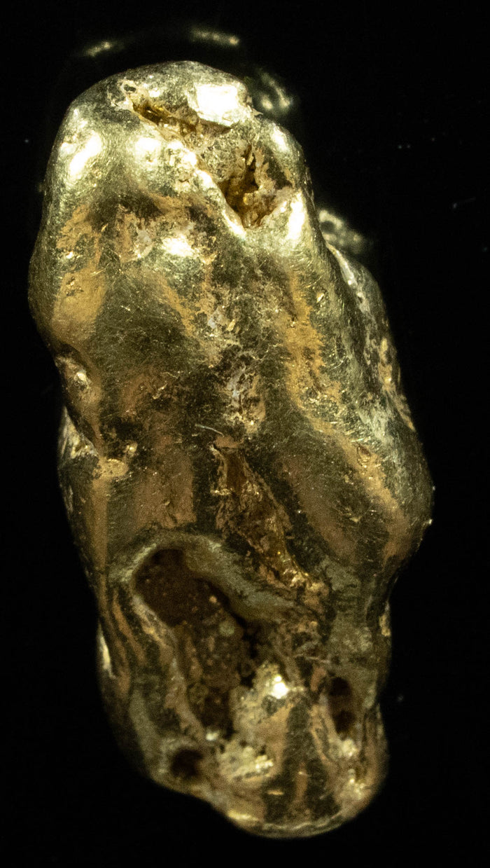 #366 Alaskan BC Natural Gold Nugget 5.61 Grams Genuine