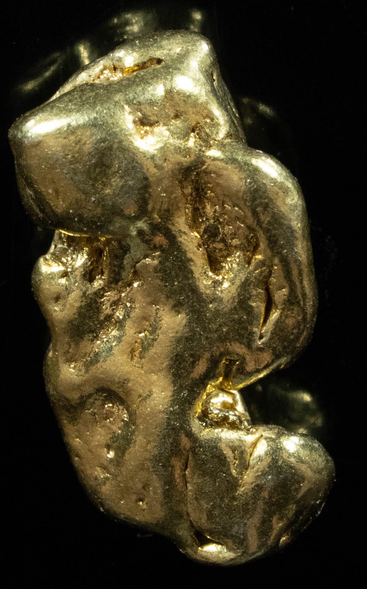 #373 Alaskan BC Natural Gold Nugget 7.35 Grams Genuine
