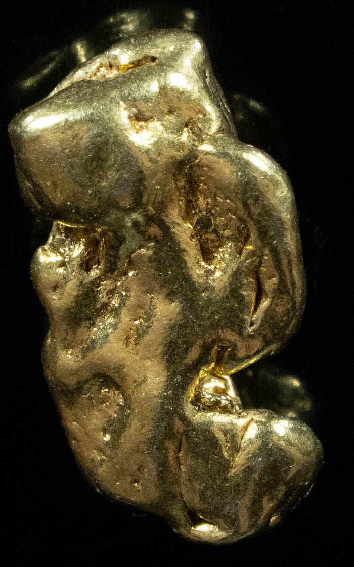 #373 Alaskan BC Natural Gold Nugget 7.35 Grams Genuine