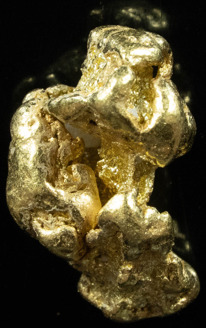 #374 Alaskan BC Natural Gold Nugget 5.74 Grams Genuine