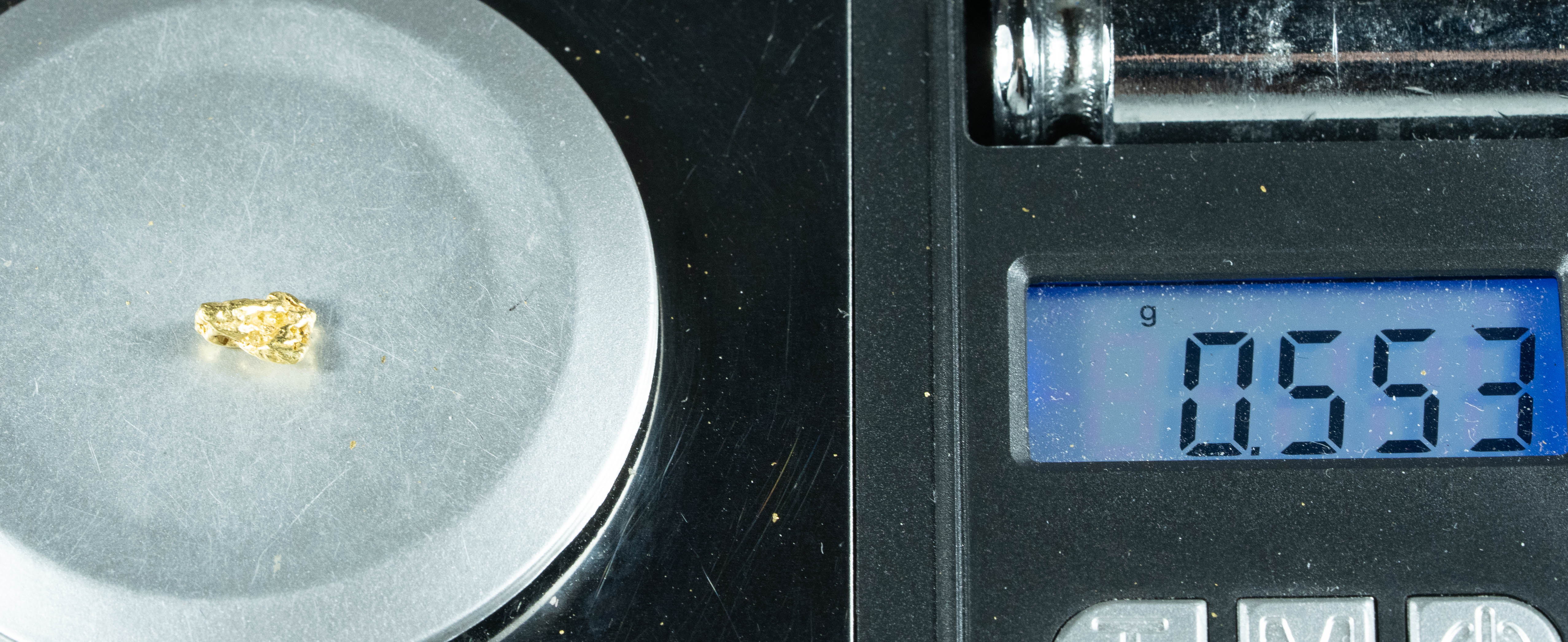 #8 Alaskan BC Natural Gold Nugget .55 Grams Genuine