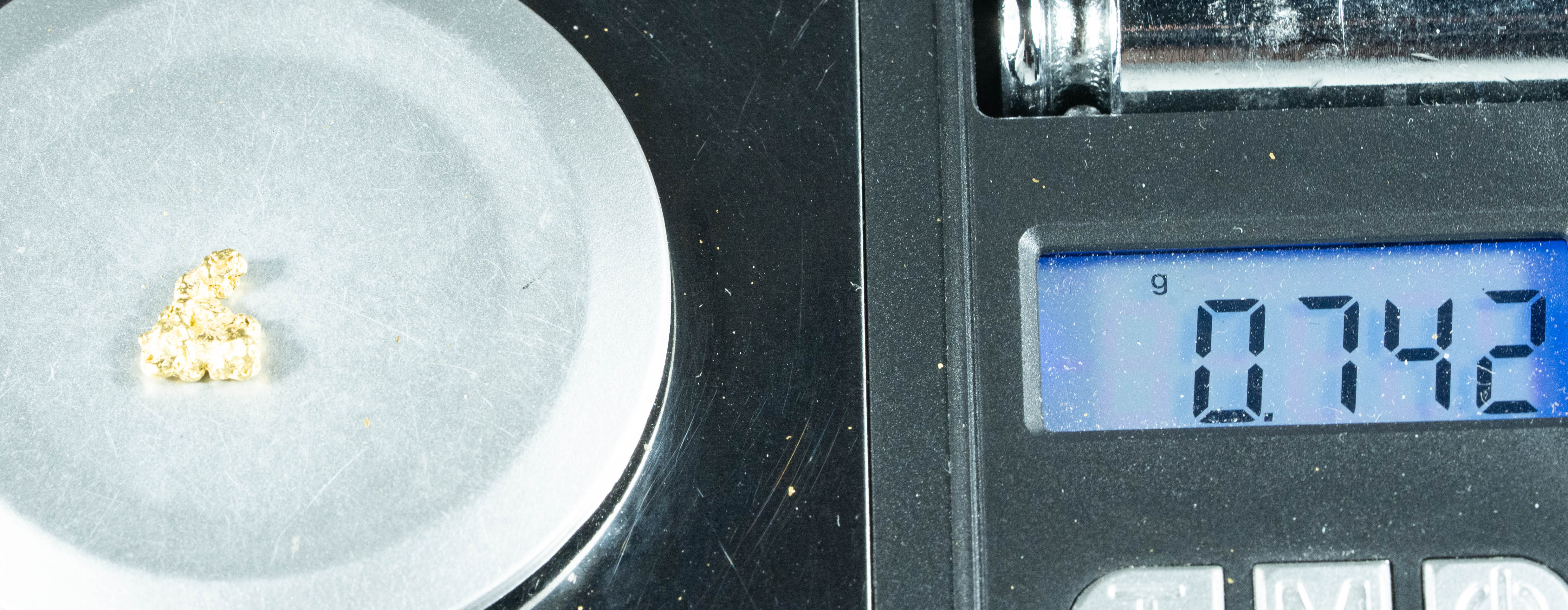 #13 Alaskan BC Natural Gold Nugget .74 Grams Genuine