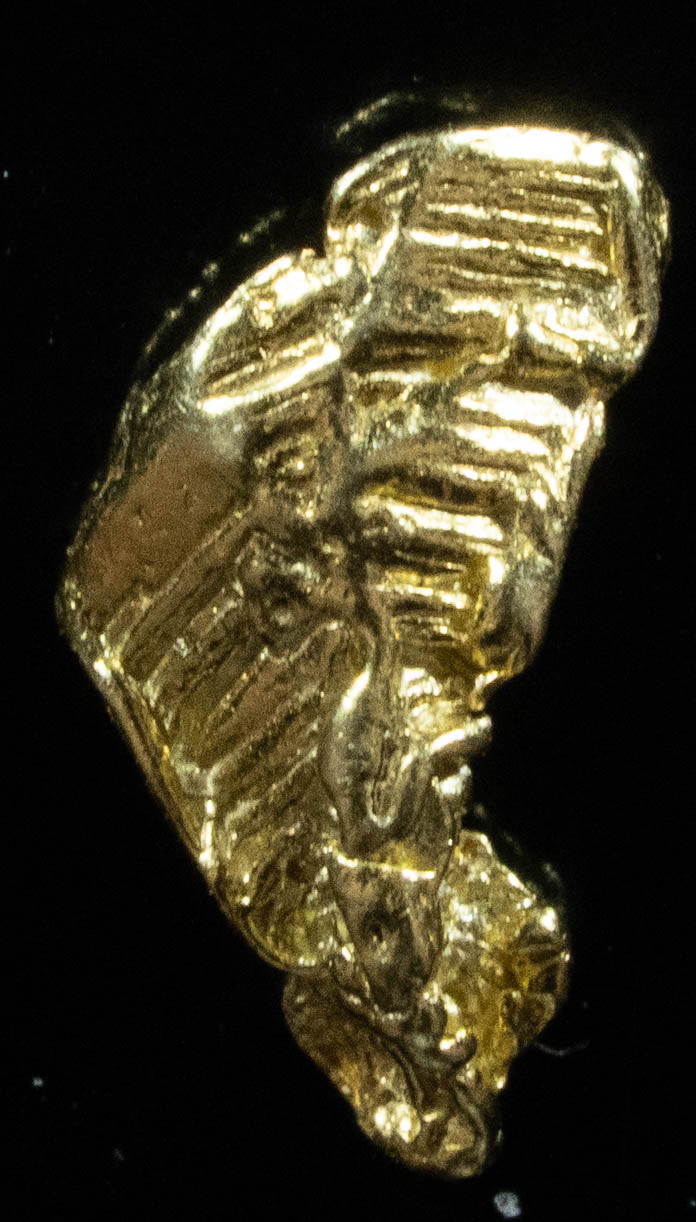 L-20 Exotic Alaskan BC Natural Gold Nugget .39 Grams Genuine
