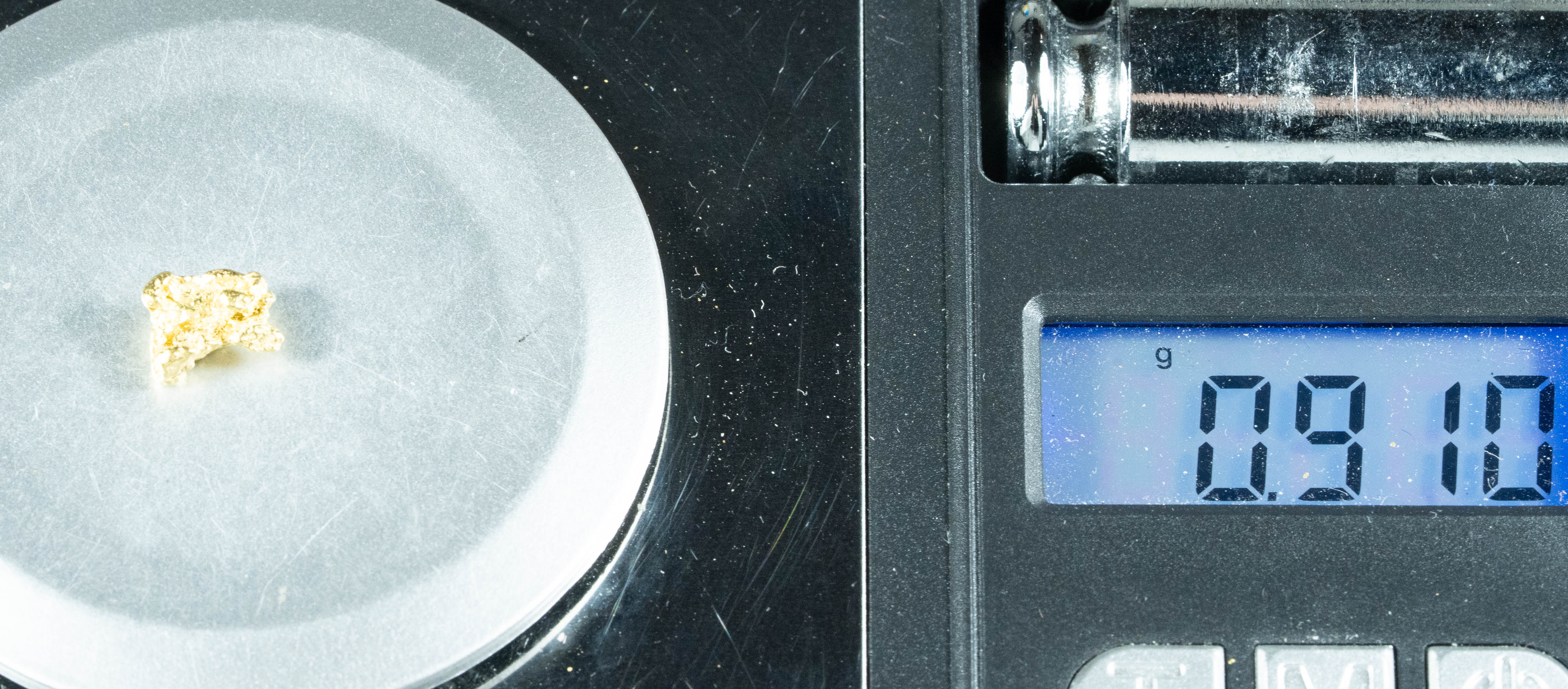 #20 Alaskan BC Natural Gold Nugget .91 Grams Genuine