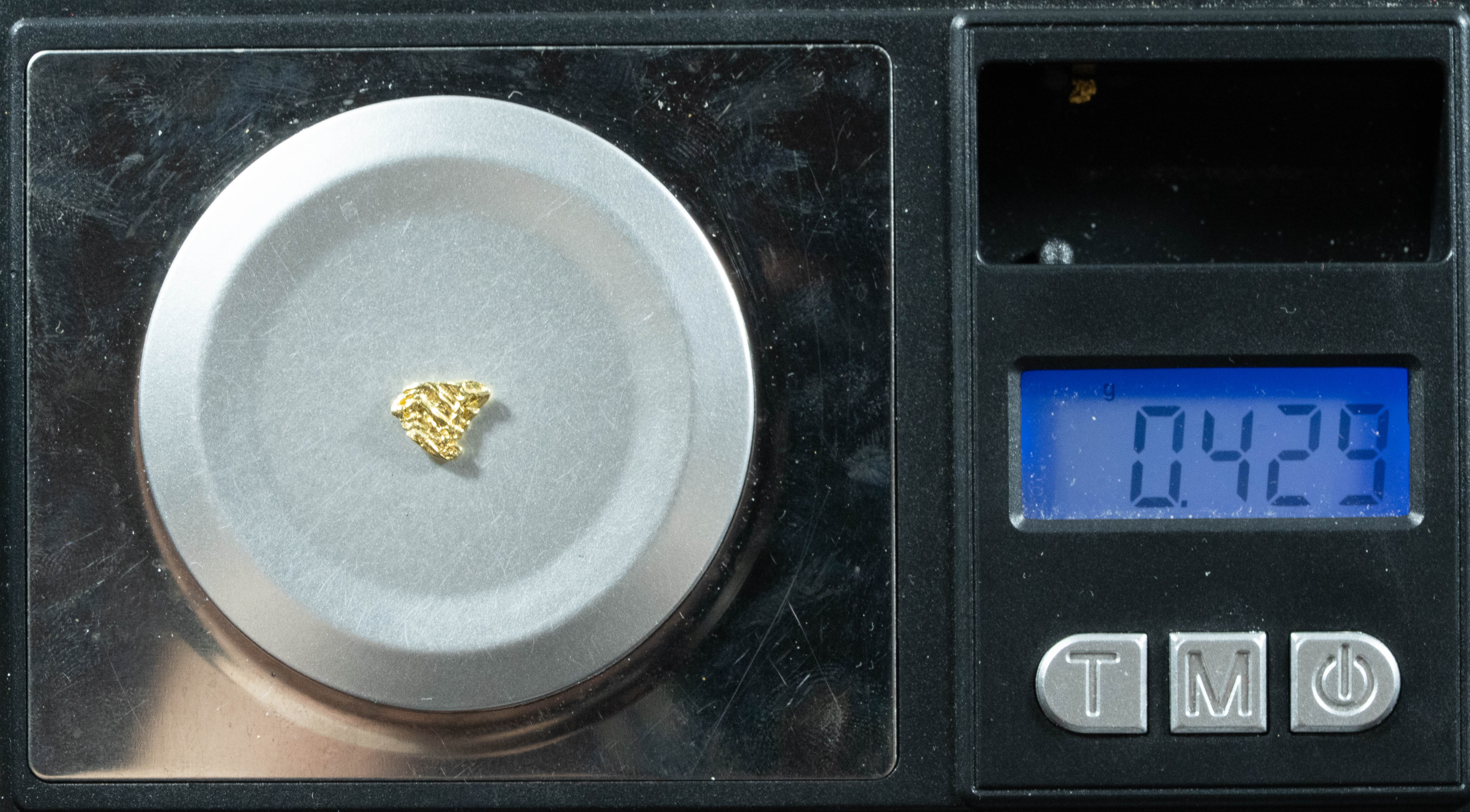 L-21 Exotic Alaskan BC Natural Gold Nugget .43 Grams Genuine