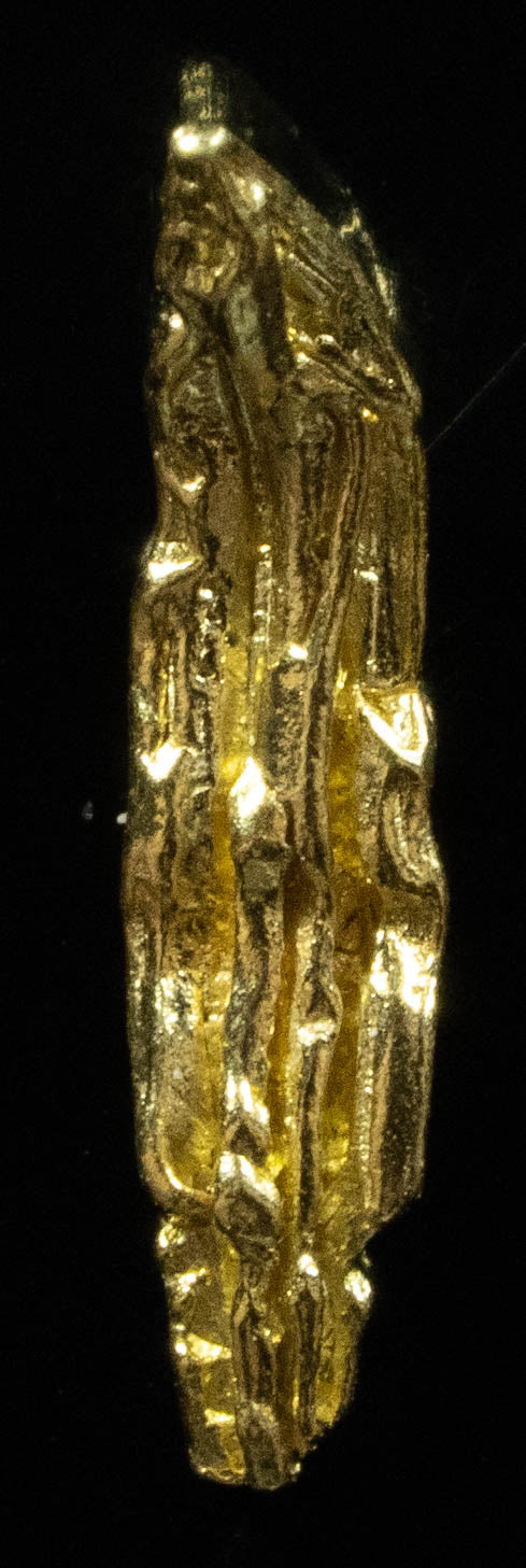 L-22 Exotic Alaskan BC Natural Gold Nugget .52 Grams Genuine