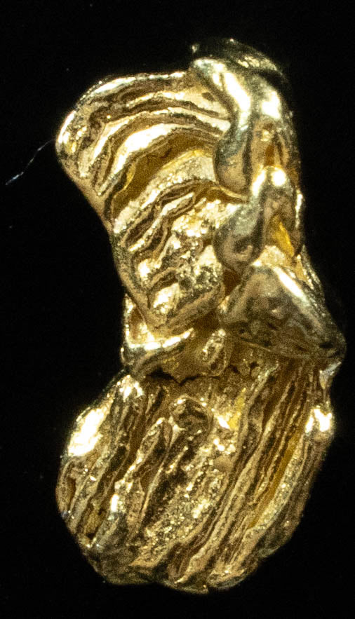 L-23 Exotic Alaskan BC Natural Gold Nugget .38 Grams Genuine