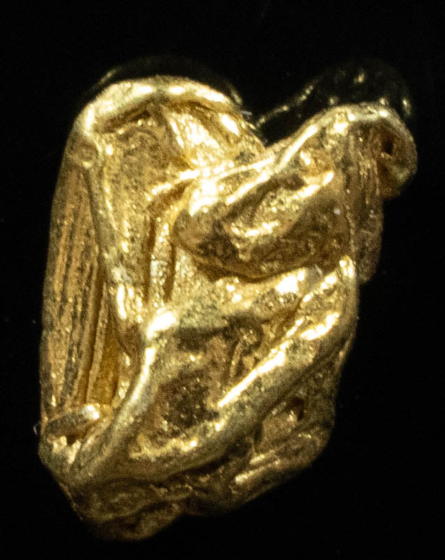 L-25 Exotic Alaskan BC Natural Gold Nugget .88 Grams Genuine