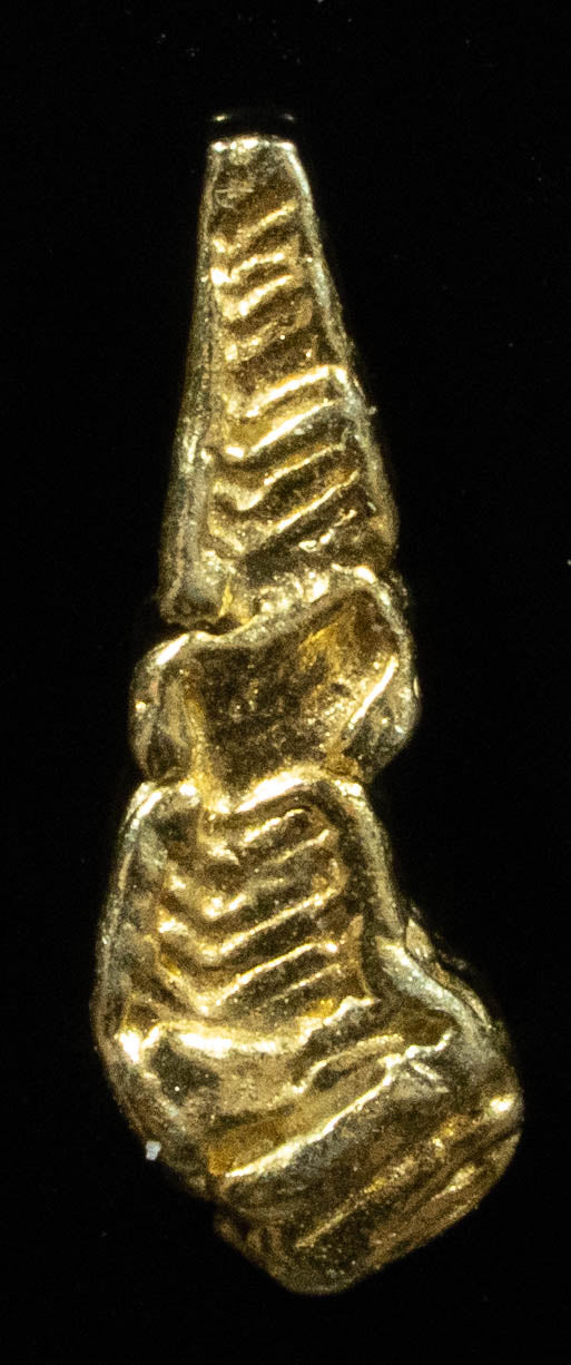 L-26 Exotic Alaskan BC Natural Gold Nugget .28 Grams Genuine