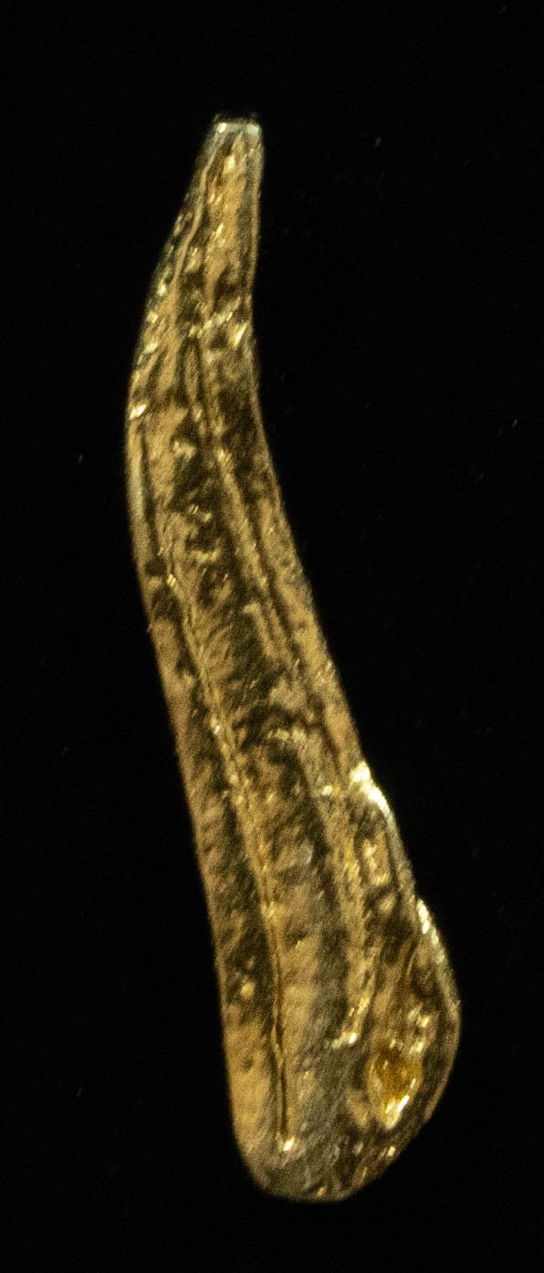 L-29 Exotic Alaskan BC Natural Gold Nugget .20 Grams Genuine