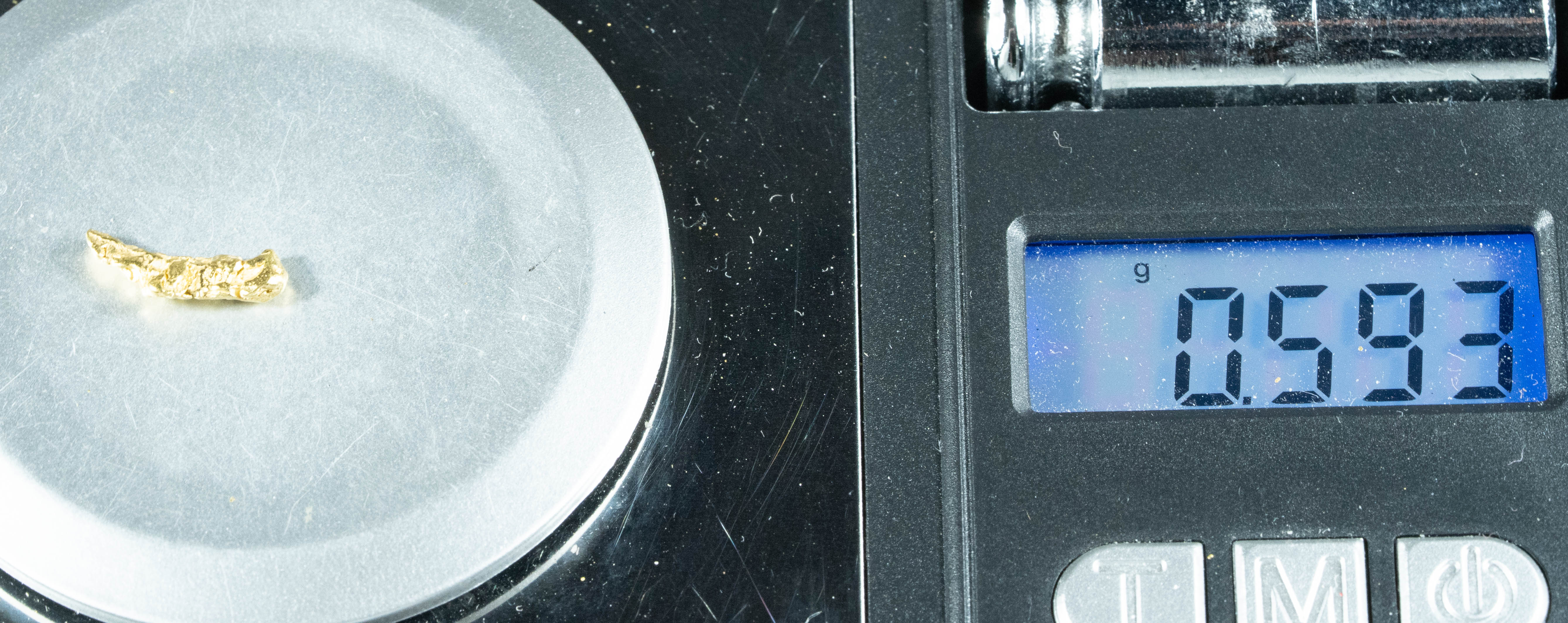 #43 Alaskan BC Natural Gold Nugget .59 Grams Genuine