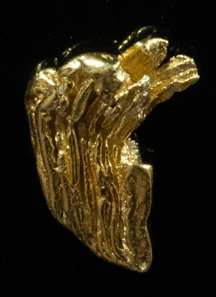 L-34 Exotic Alaskan BC Natural Gold Nugget .455 Grams Genuine