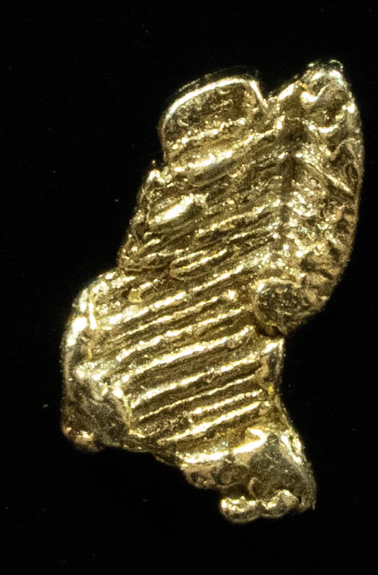 L-35 Exotic Dendritic Alaskan BC Natural Gold Nugget .192 Grams Genuine