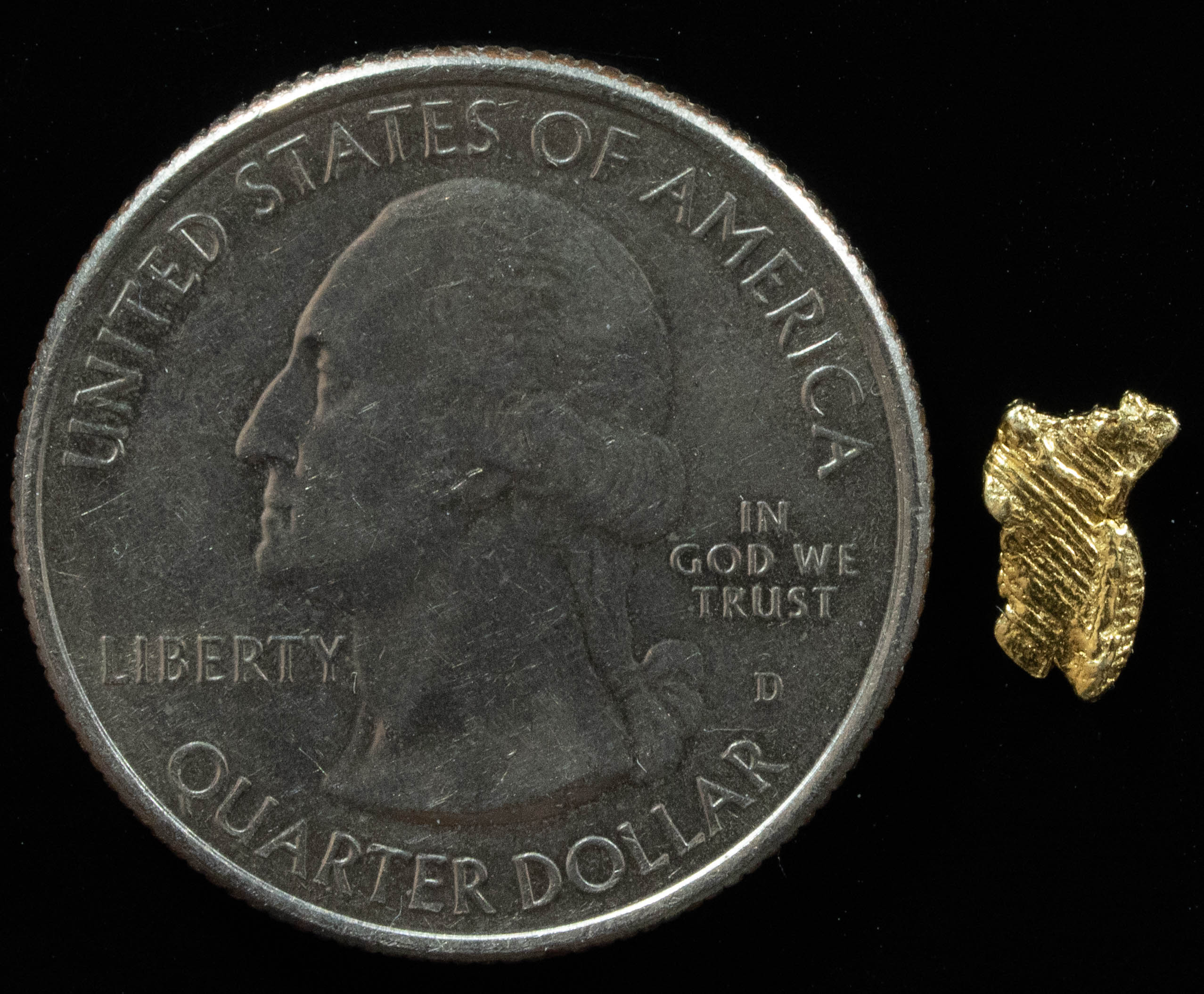 L-35 Exotic Dendritic Alaskan BC Natural Gold Nugget .192 Grams Genuine
