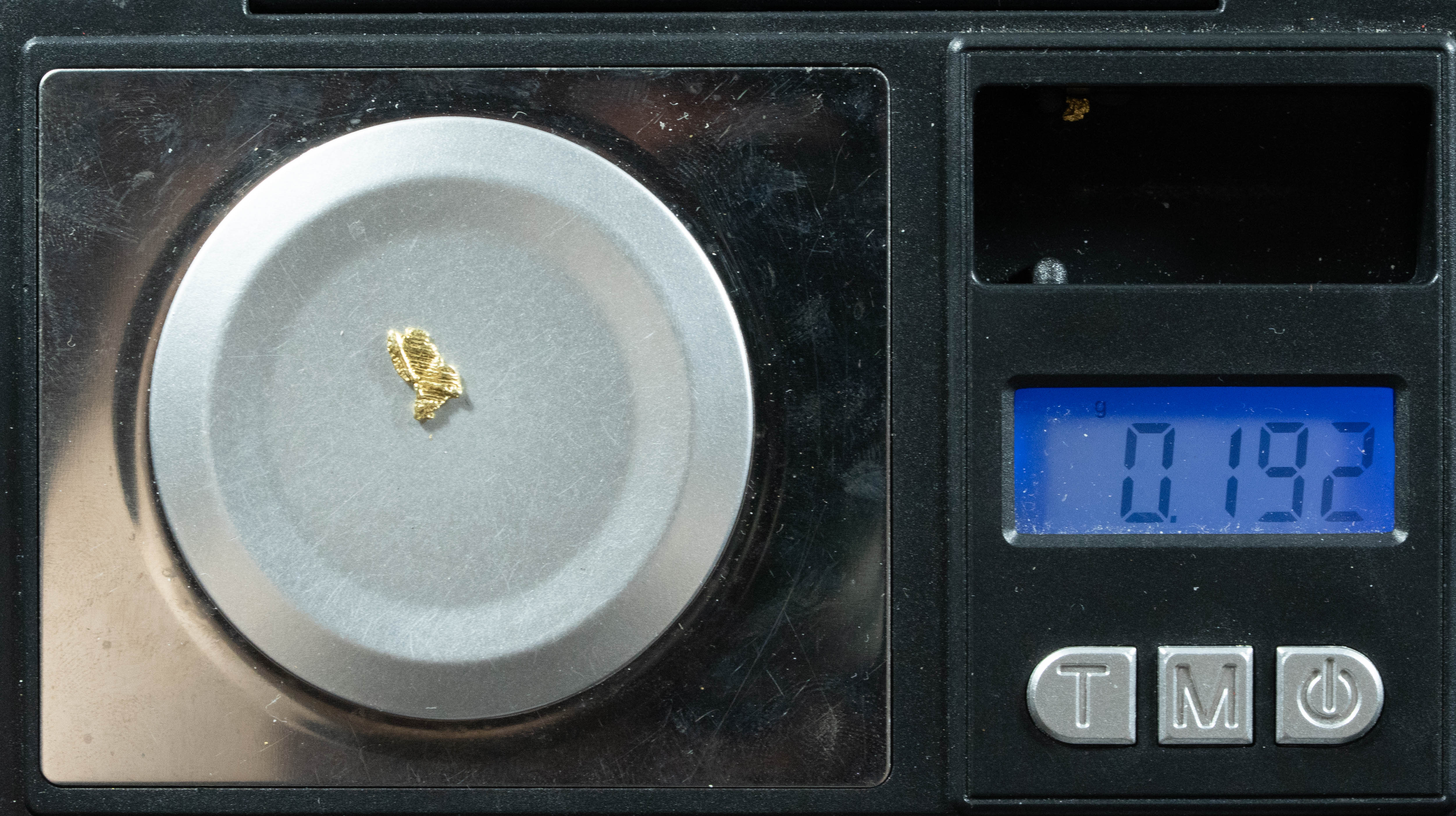 L-35 Exotic Dendritic Alaskan BC Natural Gold Nugget .192 Grams Genuine