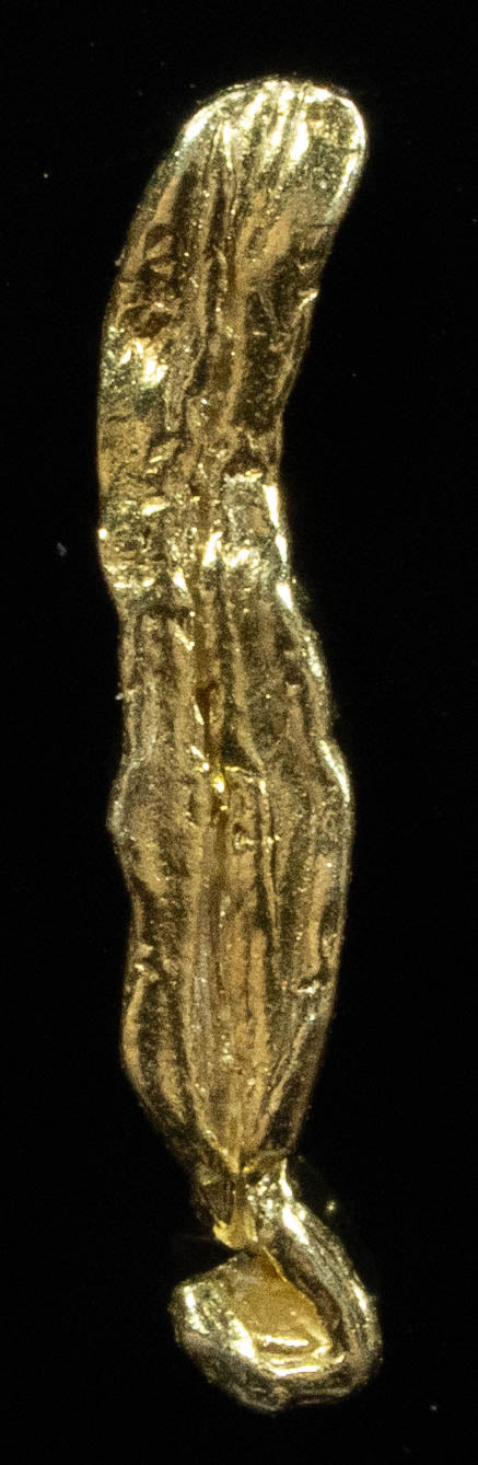 L-36 Exotic Alaskan BC Natural Gold Nugget .238 Grams Genuine