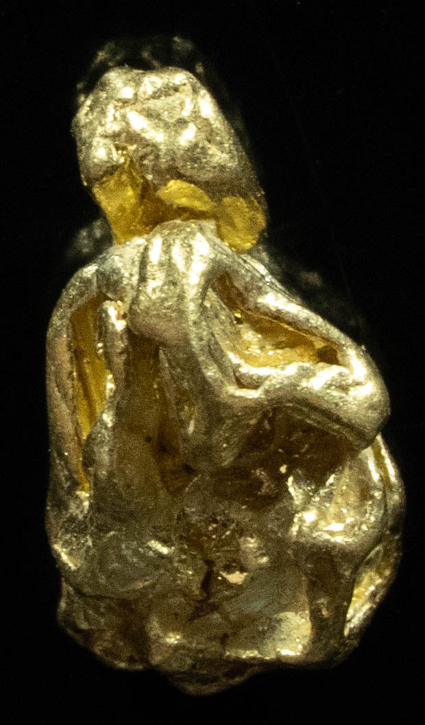 L-37 Exotic Alaskan BC Natural Gold Nugget 1.43 Grams Genuine