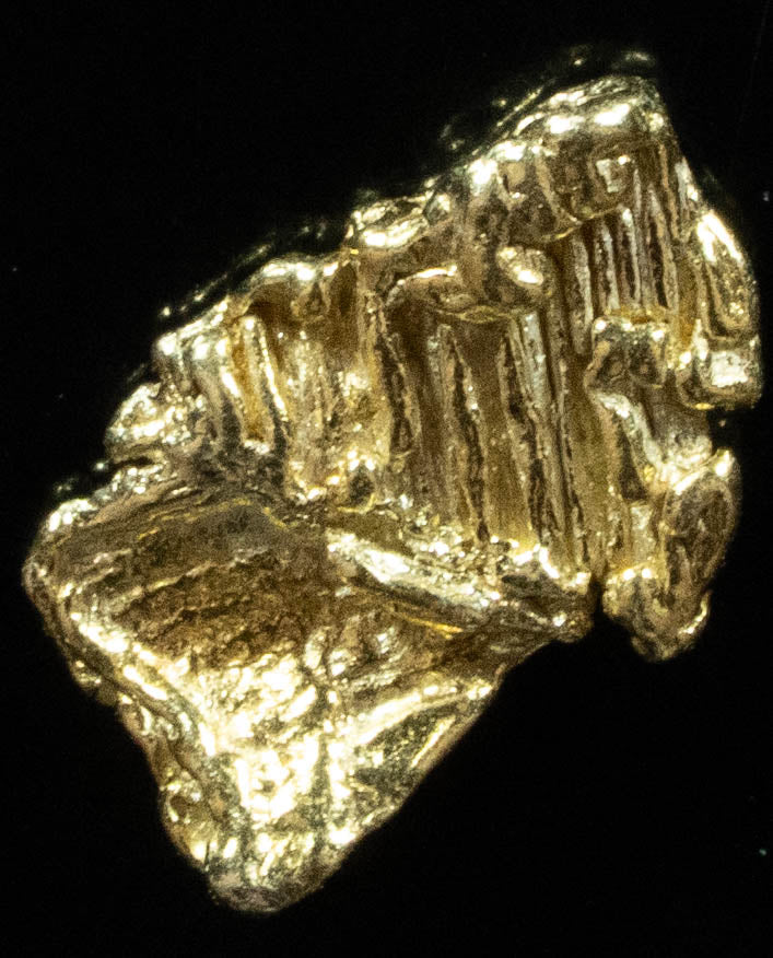 L-45 Exotic Alaskan BC Natural Gold Nugget .50 Grams Genuine