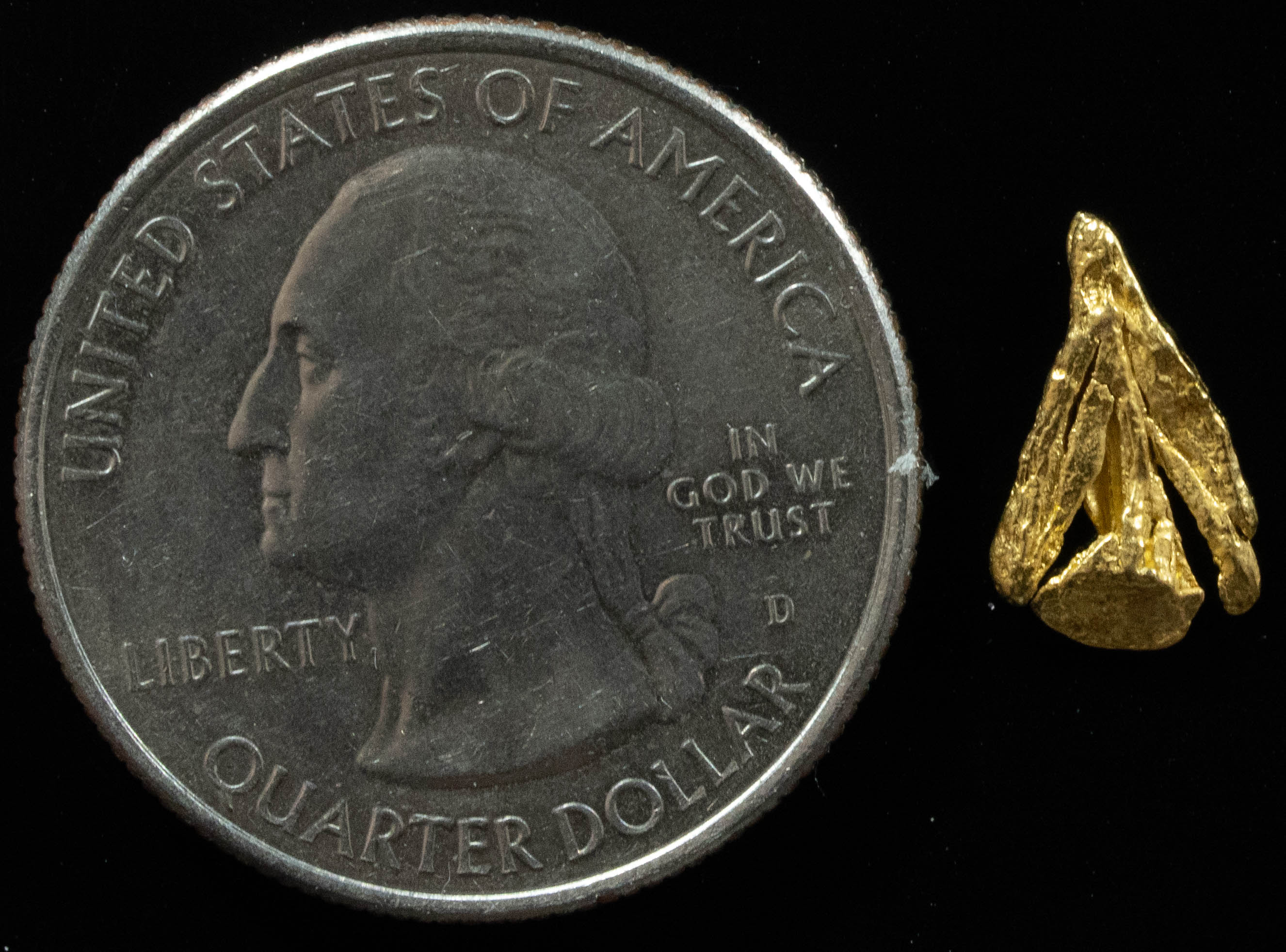 L-46 Exotic Alaskan BC Natural Gold Nugget .44 Grams Genuine