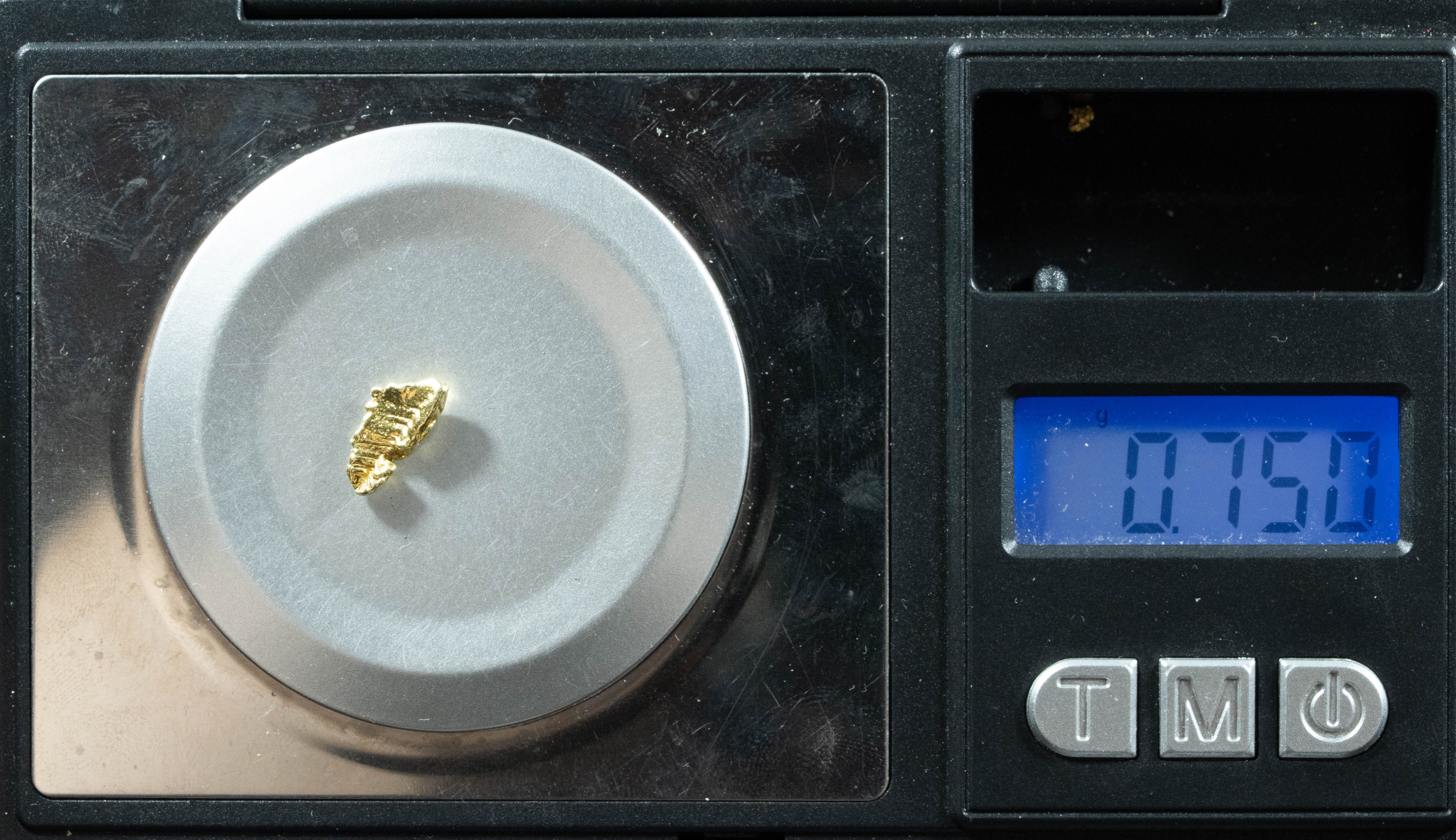 L-51 Exotic Dendritic Alaskan BC Natural Gold Nugget .75 Grams Genuine
