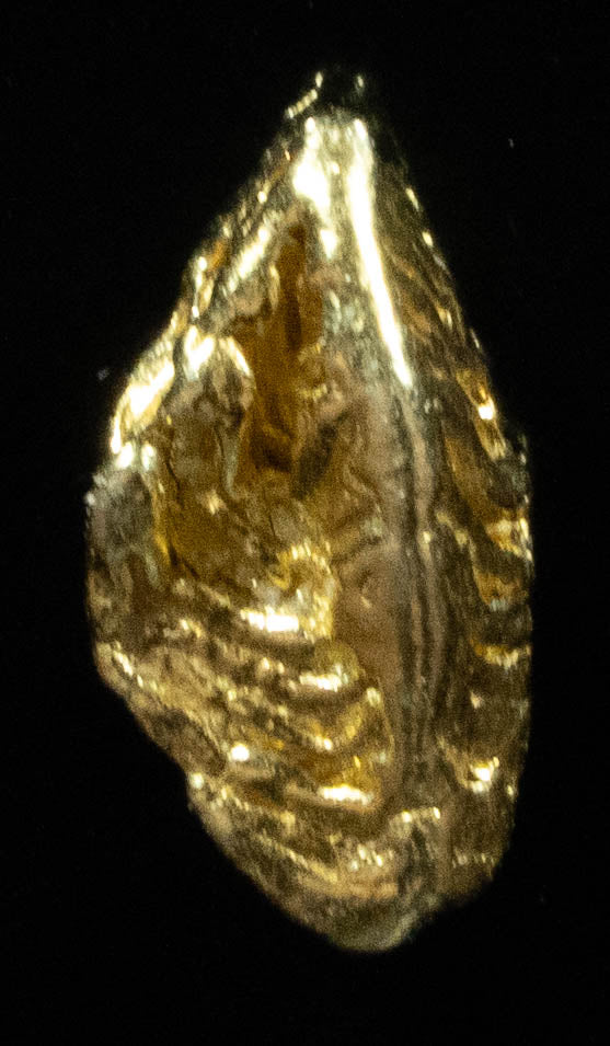 L-55 Dendritic Exotic Alaskan BC Natural Gold Nugget .60 Grams Genuine